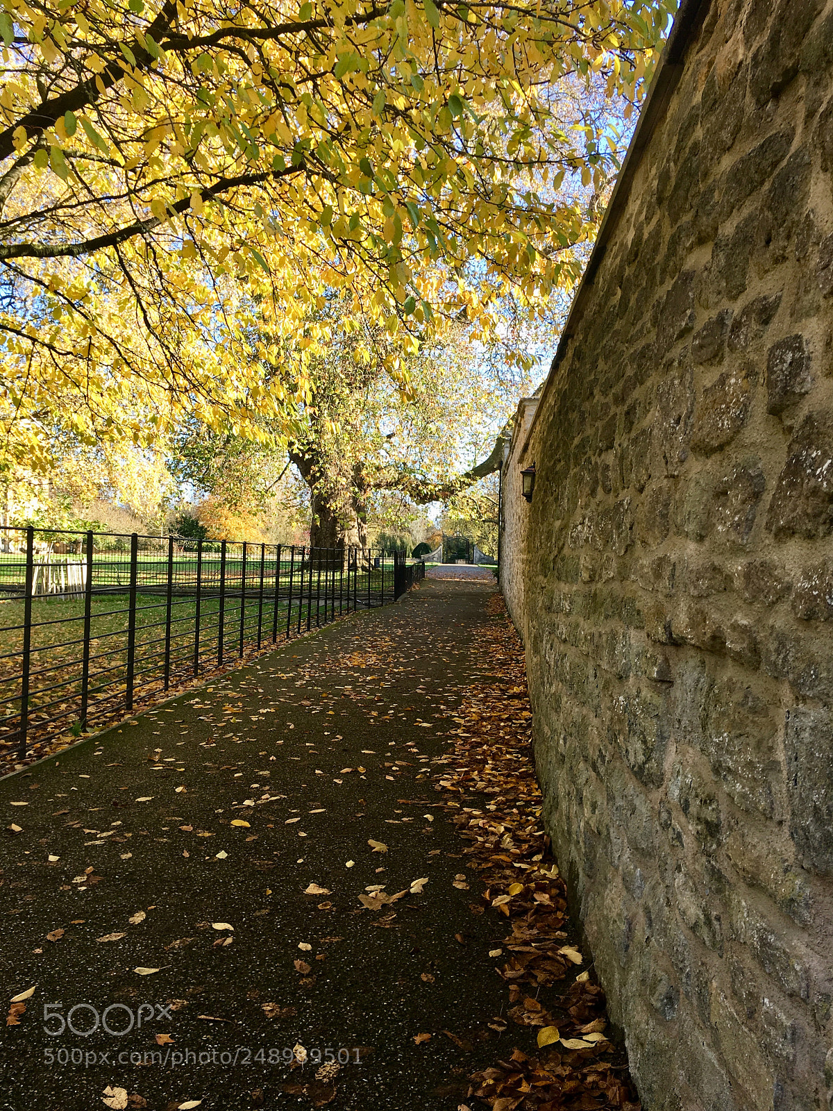 Apple iPhone 6s sample photo. Oxford university, november 2017 photography