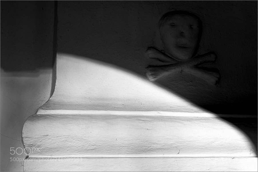Nikon D610 sample photo. In the monastery shadow photography