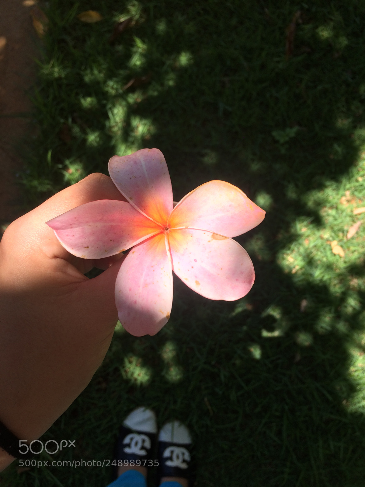 Apple iPhone 5s sample photo. Untitled photography