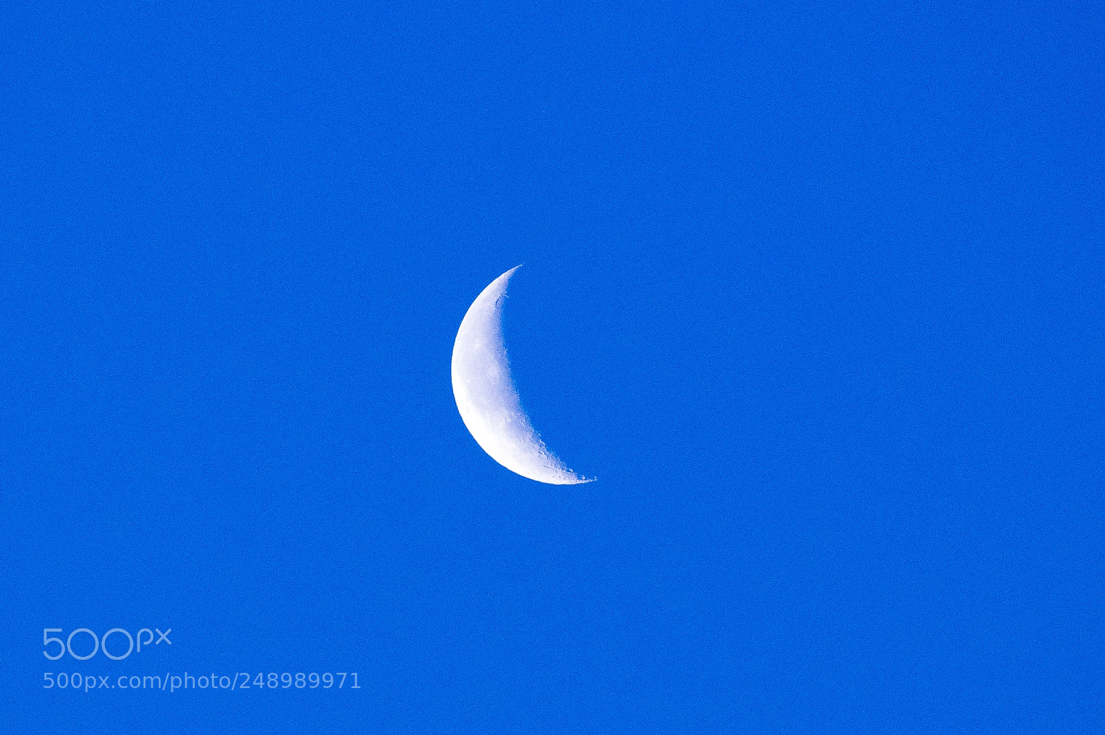 Pentax KP sample photo. Pale morning moon photography