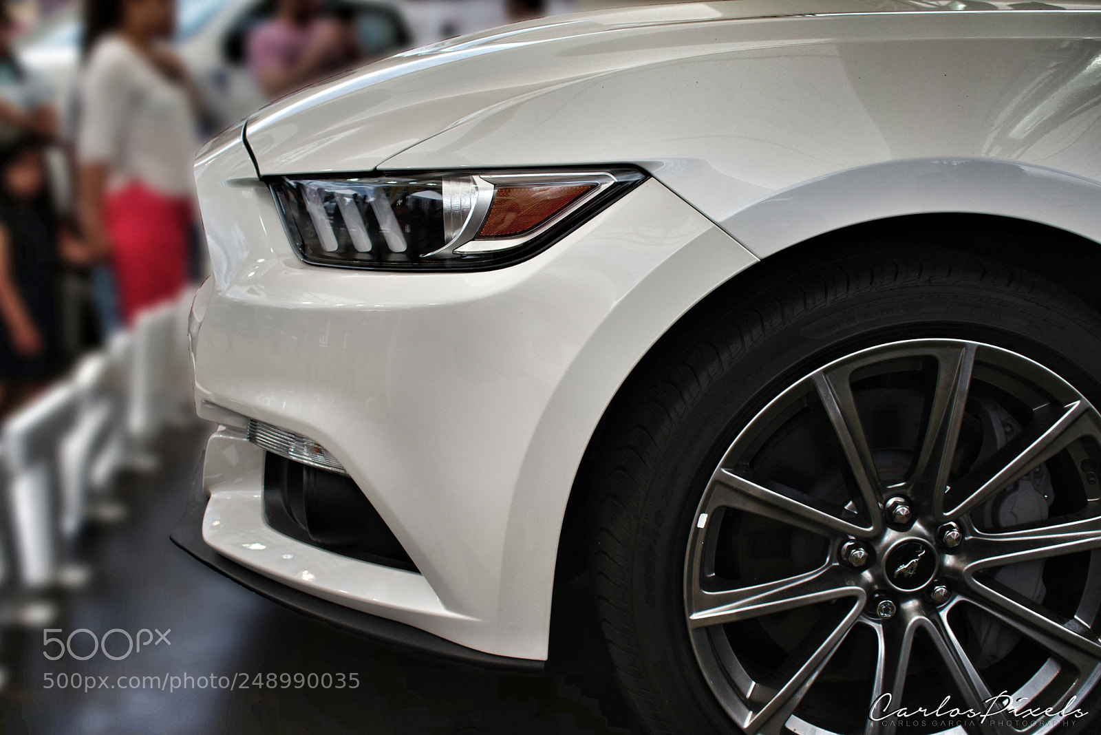 Nikon D3400 sample photo. Mustang photography