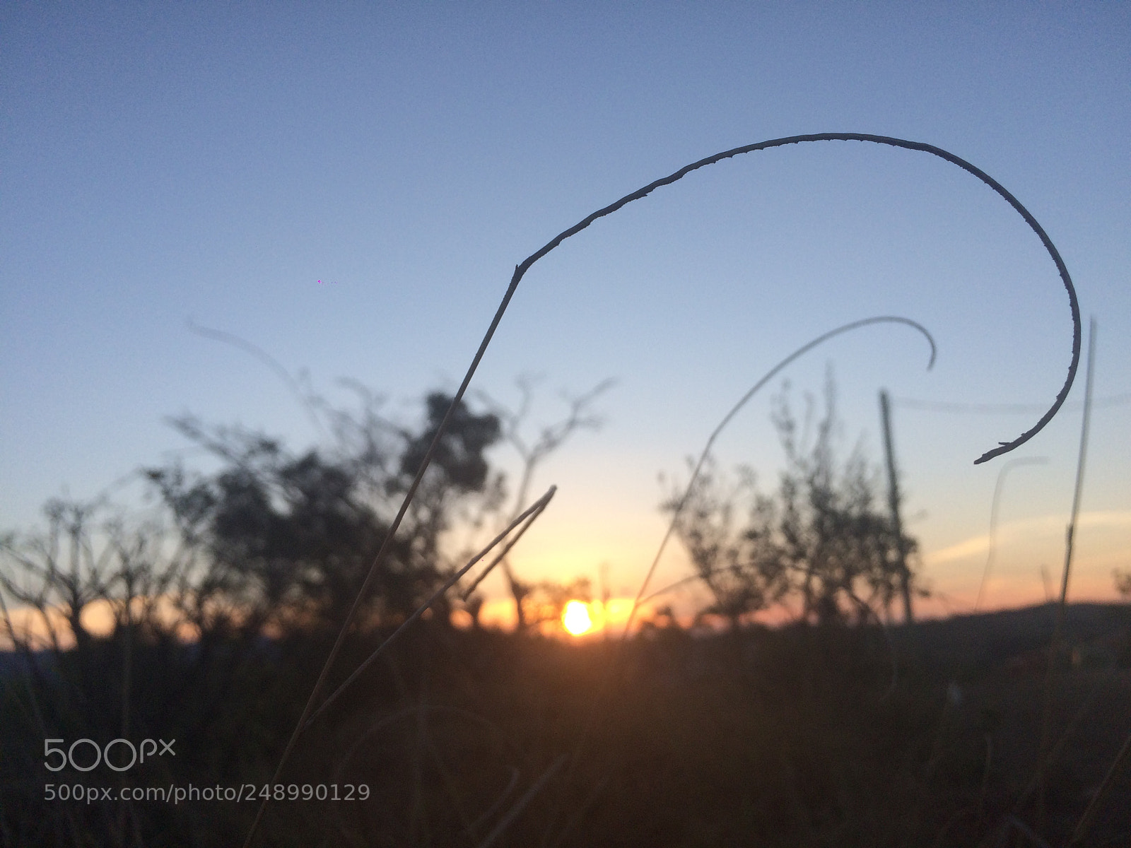 Apple iPhone 5s sample photo. Untitled photography