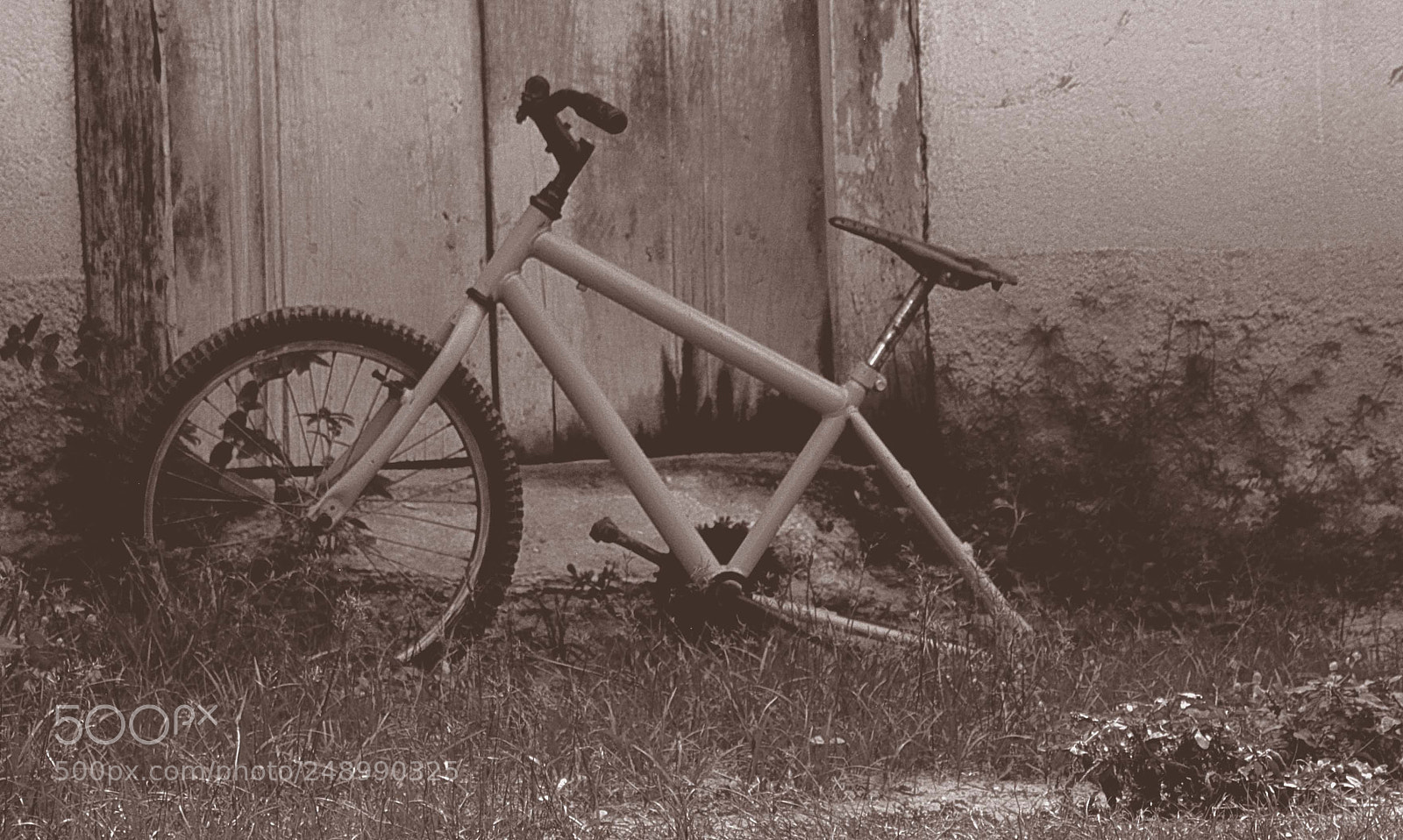 Nikon D5200 sample photo. Recordo ainda.... photography