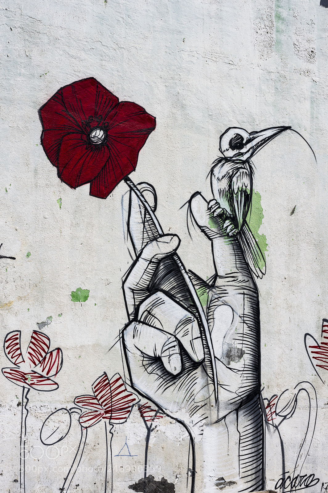 Nikon D3200 sample photo. Street art photography