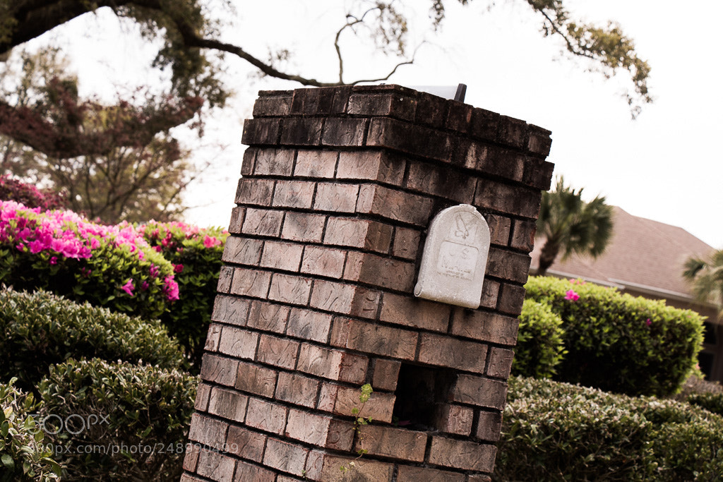 Canon EOS 1300D (EOS Rebel T6 / EOS Kiss X80) sample photo. Brick mailbox photography