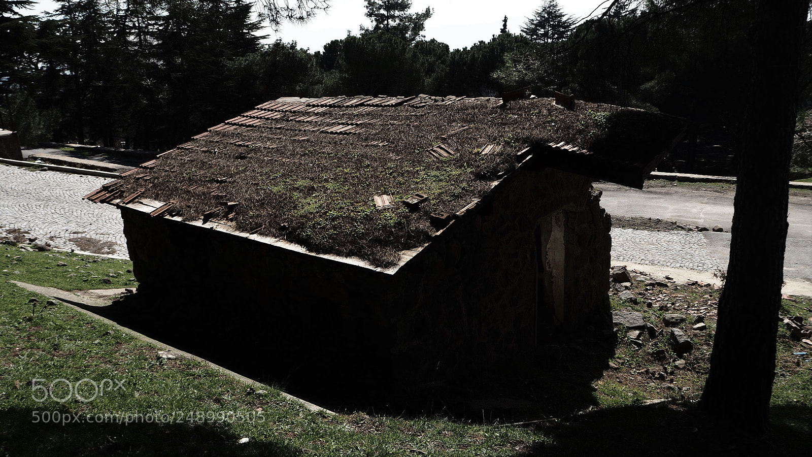 Olympus OM-D E-M10 II sample photo. Roof photography