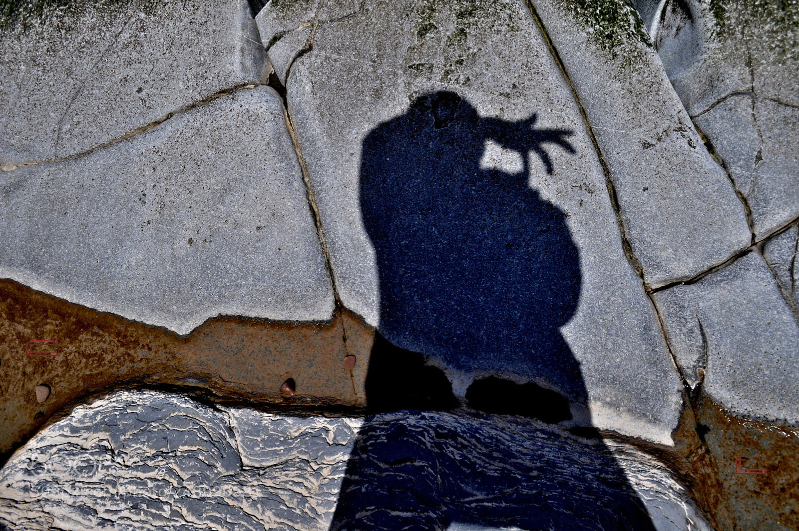 Nikon D5000 sample photo. Escape photography