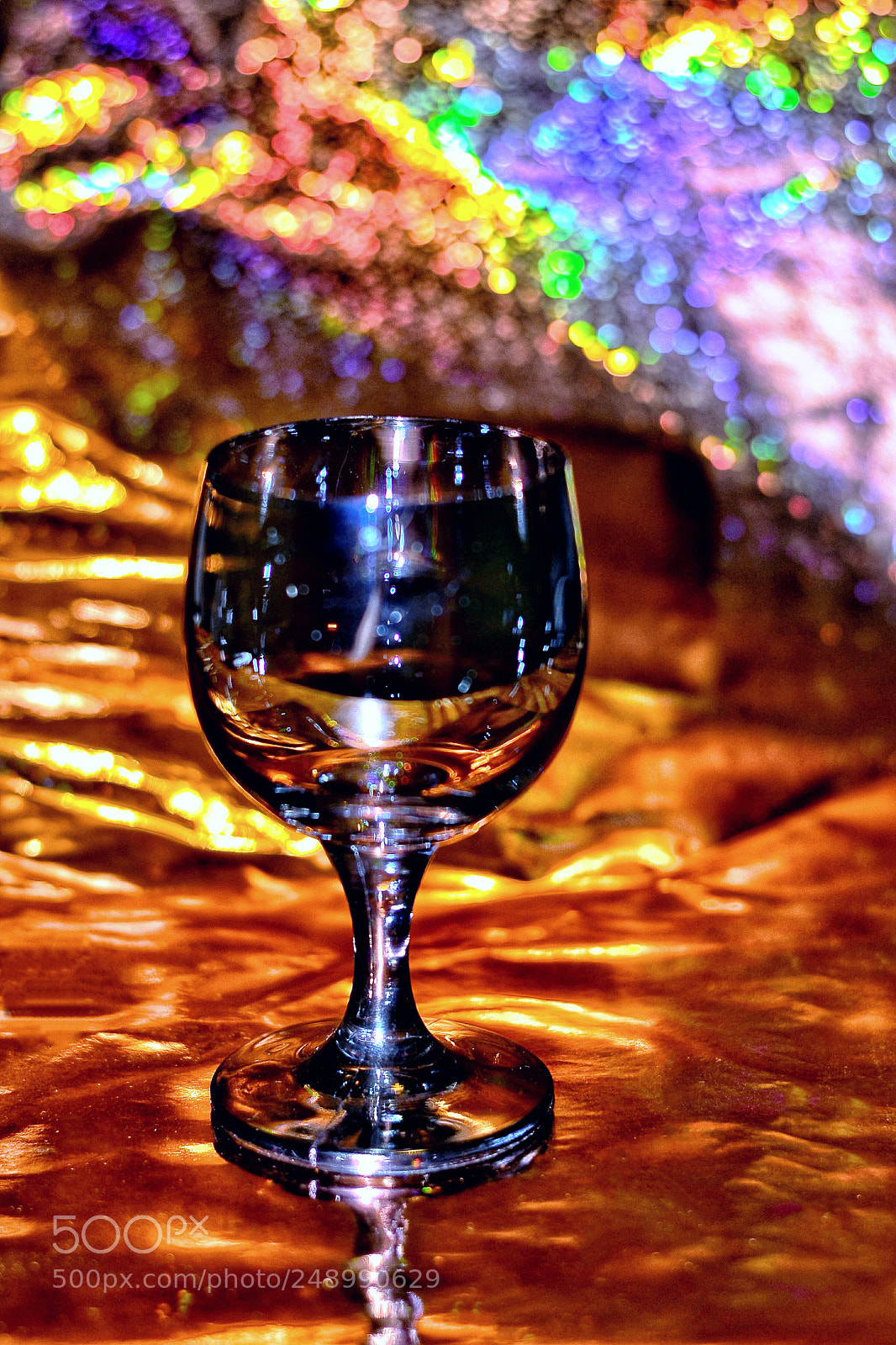 Nikon D3100 sample photo. Untitled photography