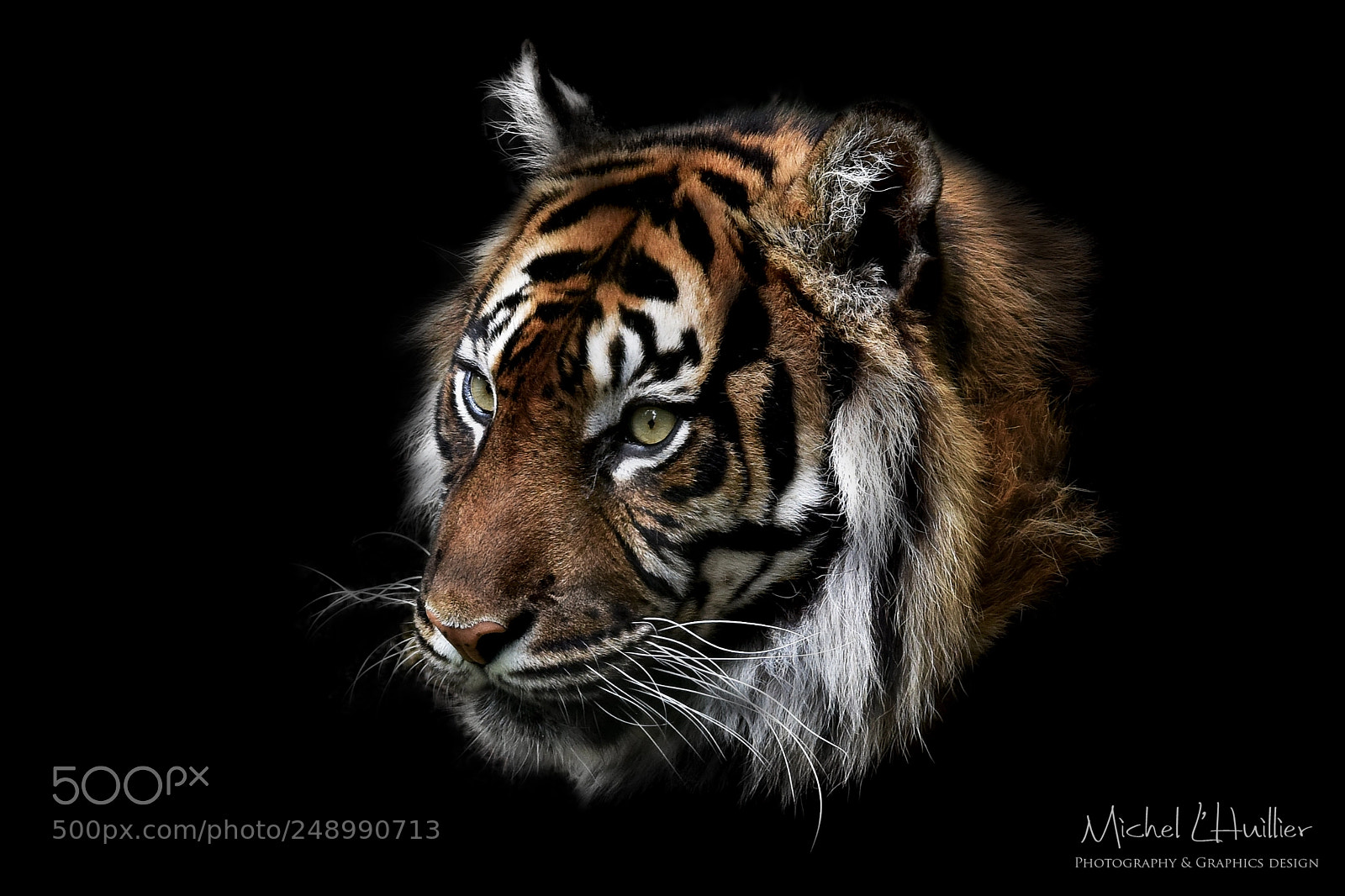 Nikon D810 sample photo. Tribute to banda photography