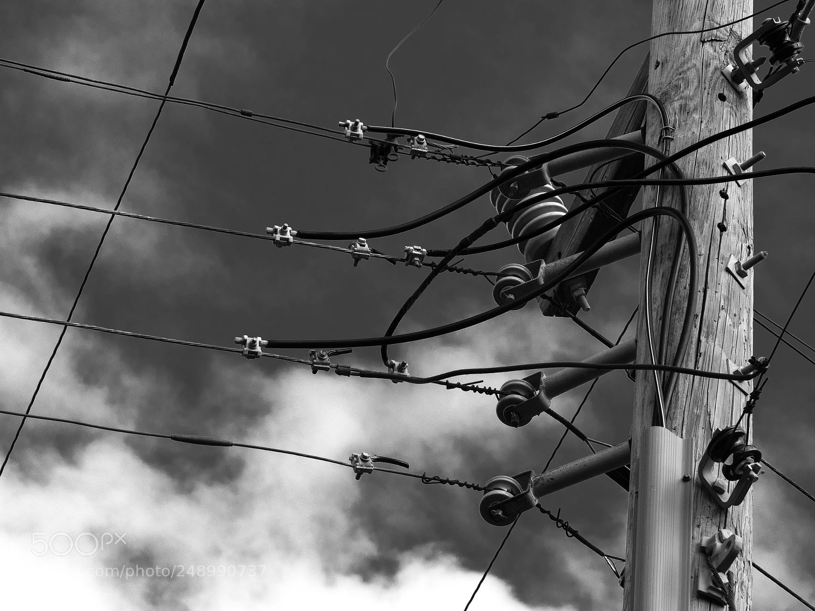 Olympus OM-D E-M1 Mark II sample photo. Not exactly wireless communication. photography