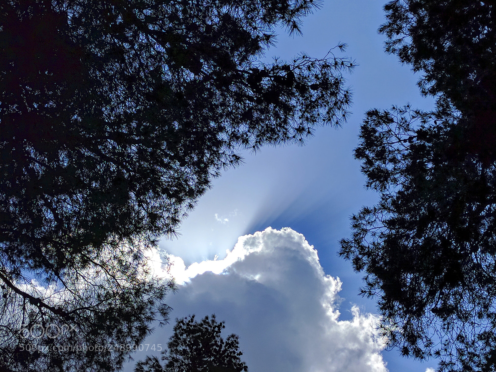 LG Nexus 5X sample photo. Sun rays photography