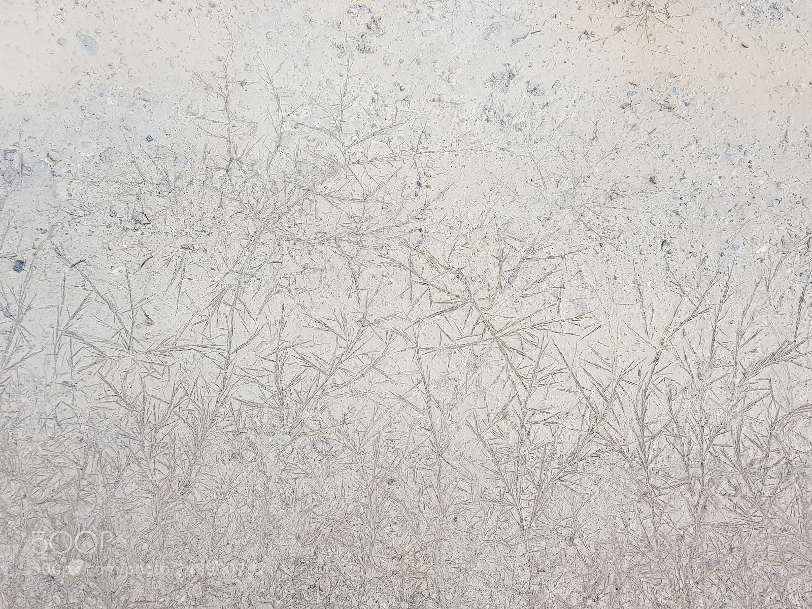 Samsung Galaxy S8+ sample photo. Frozen ground photography