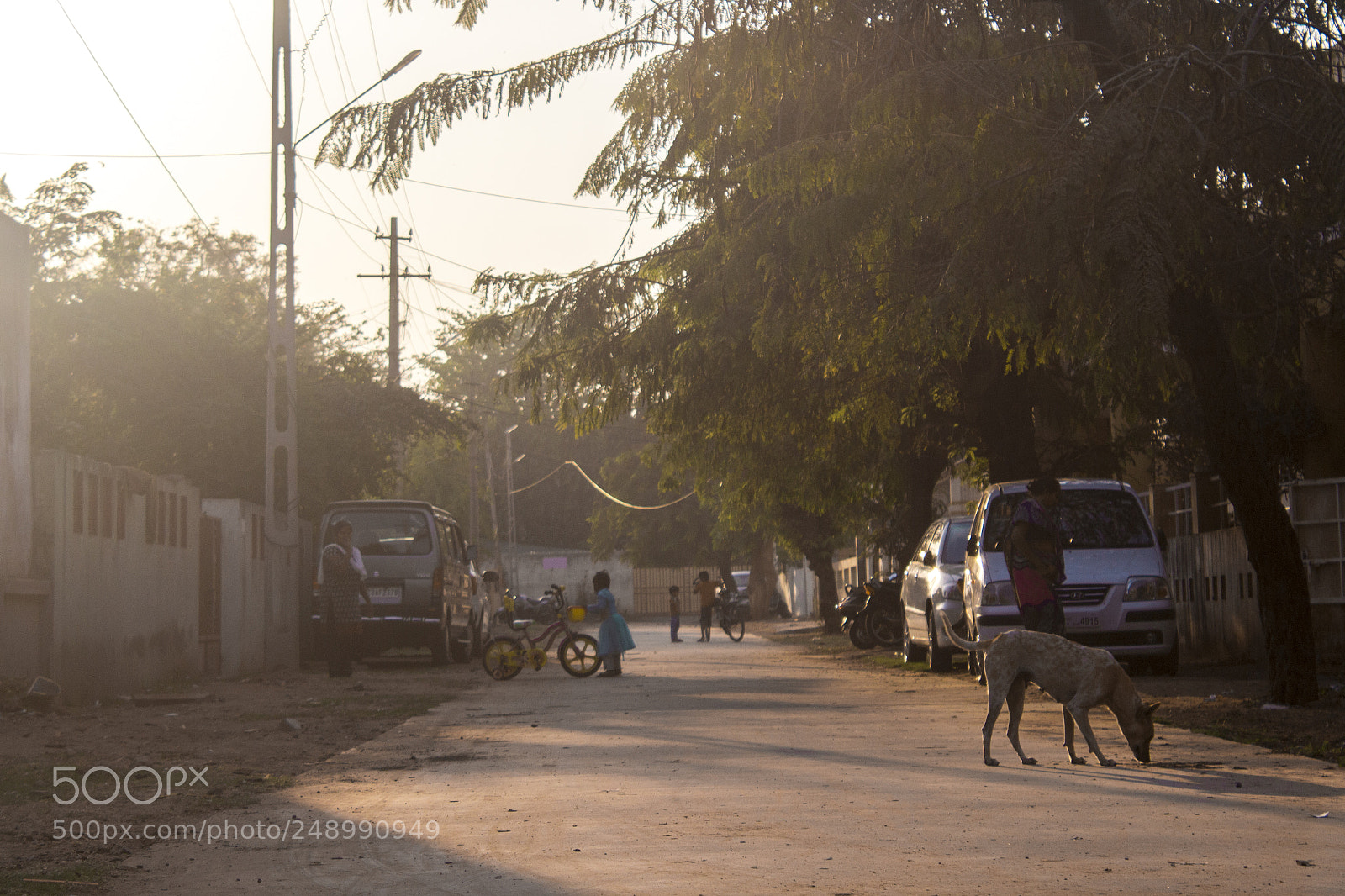 Canon EOS 600D (Rebel EOS T3i / EOS Kiss X5) sample photo. Dogstreet photography