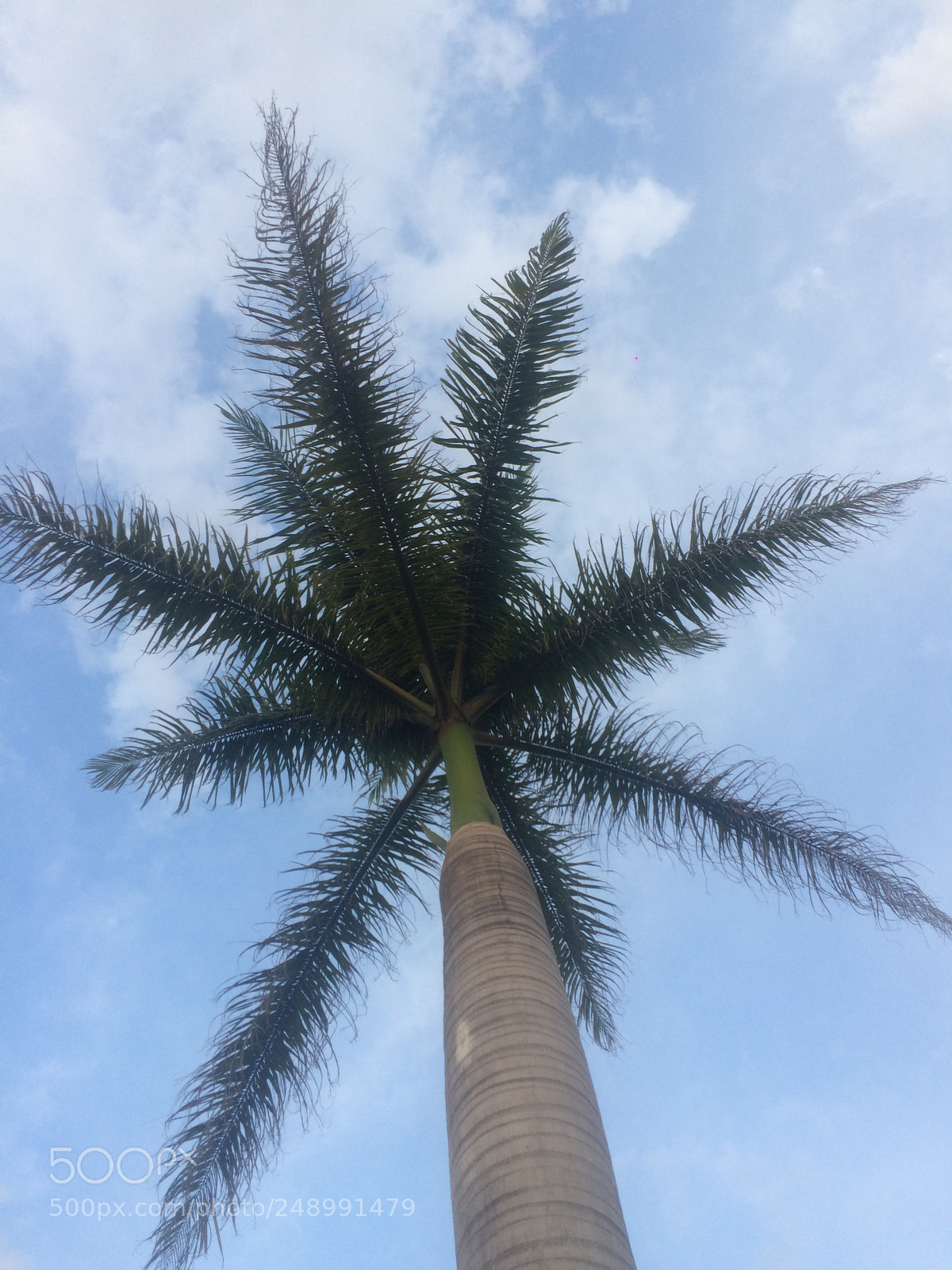 Apple iPhone 5s sample photo. Untitled photography