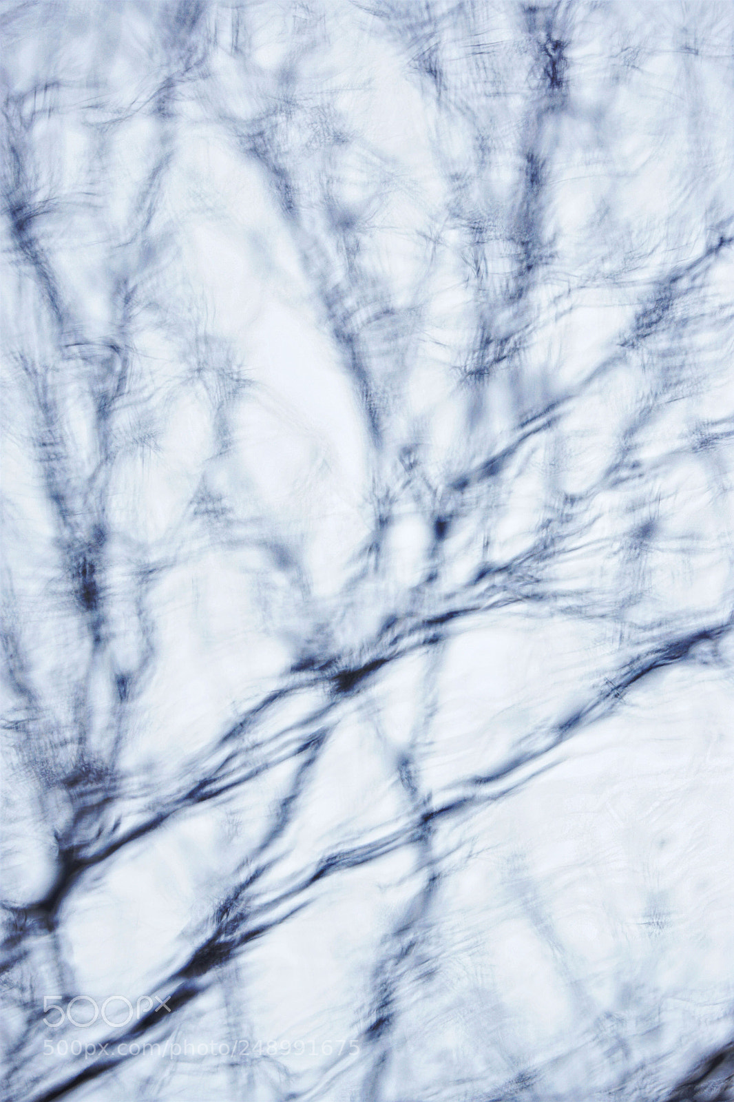 Sony a6000 sample photo. Watery branches photography