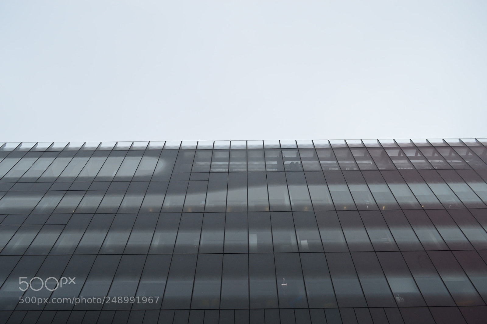 Nikon D3200 sample photo. Untitled photography