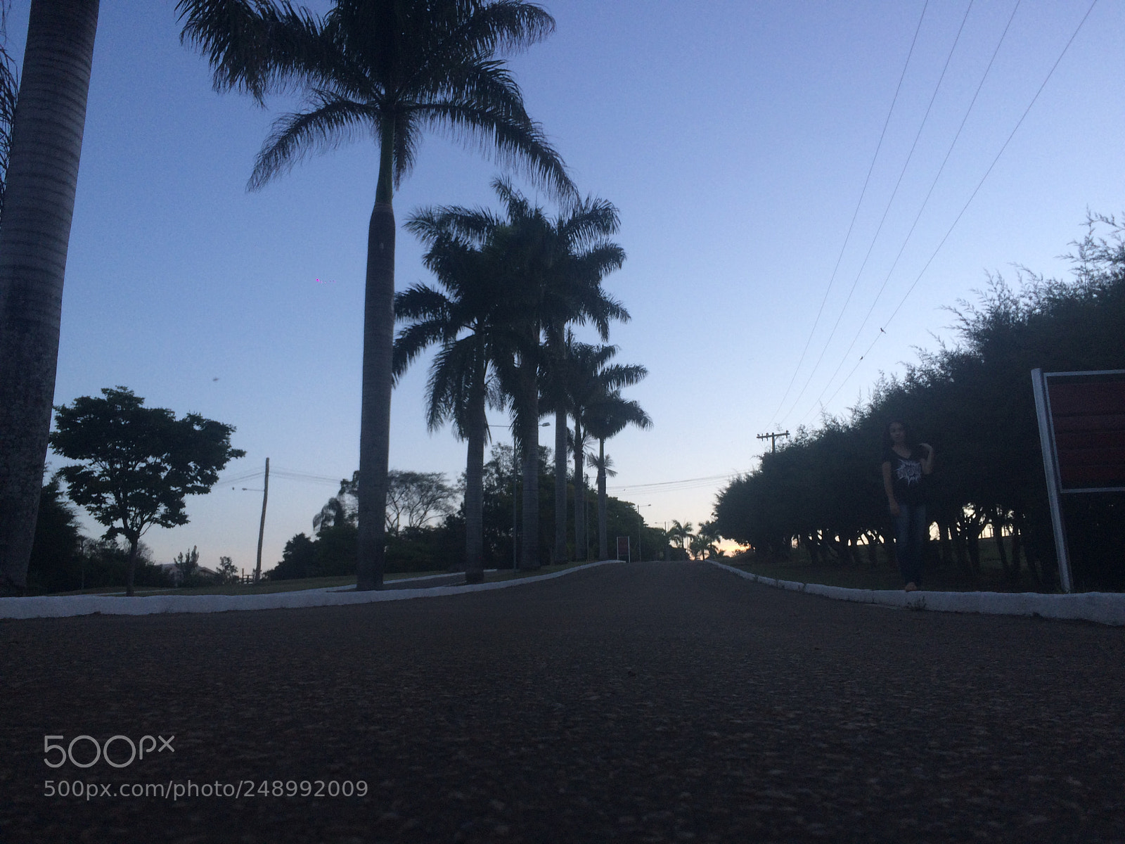 Apple iPhone 5s sample photo. Untitled photography