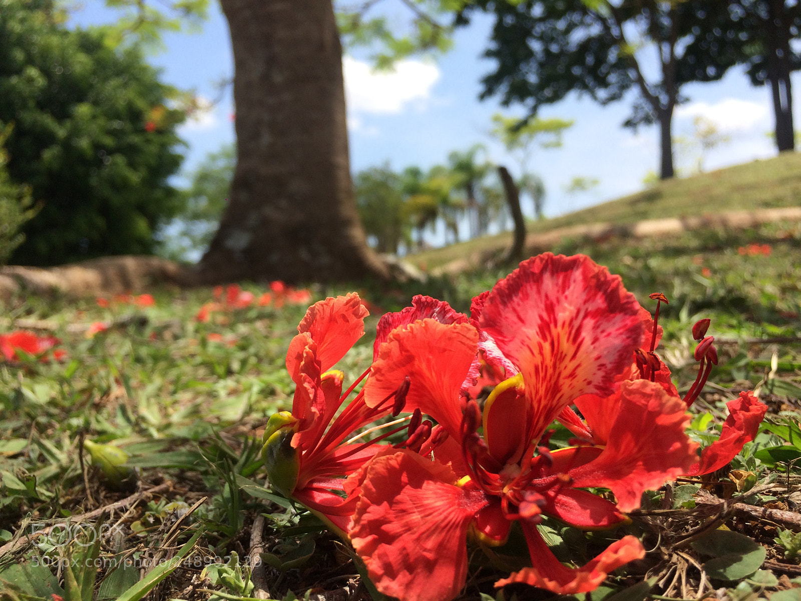 Apple iPhone 5s sample photo. Untitled photography