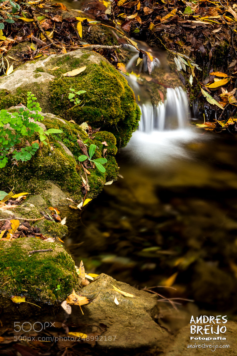 Canon EOS 60D sample photo. Y las aguas volvieron photography