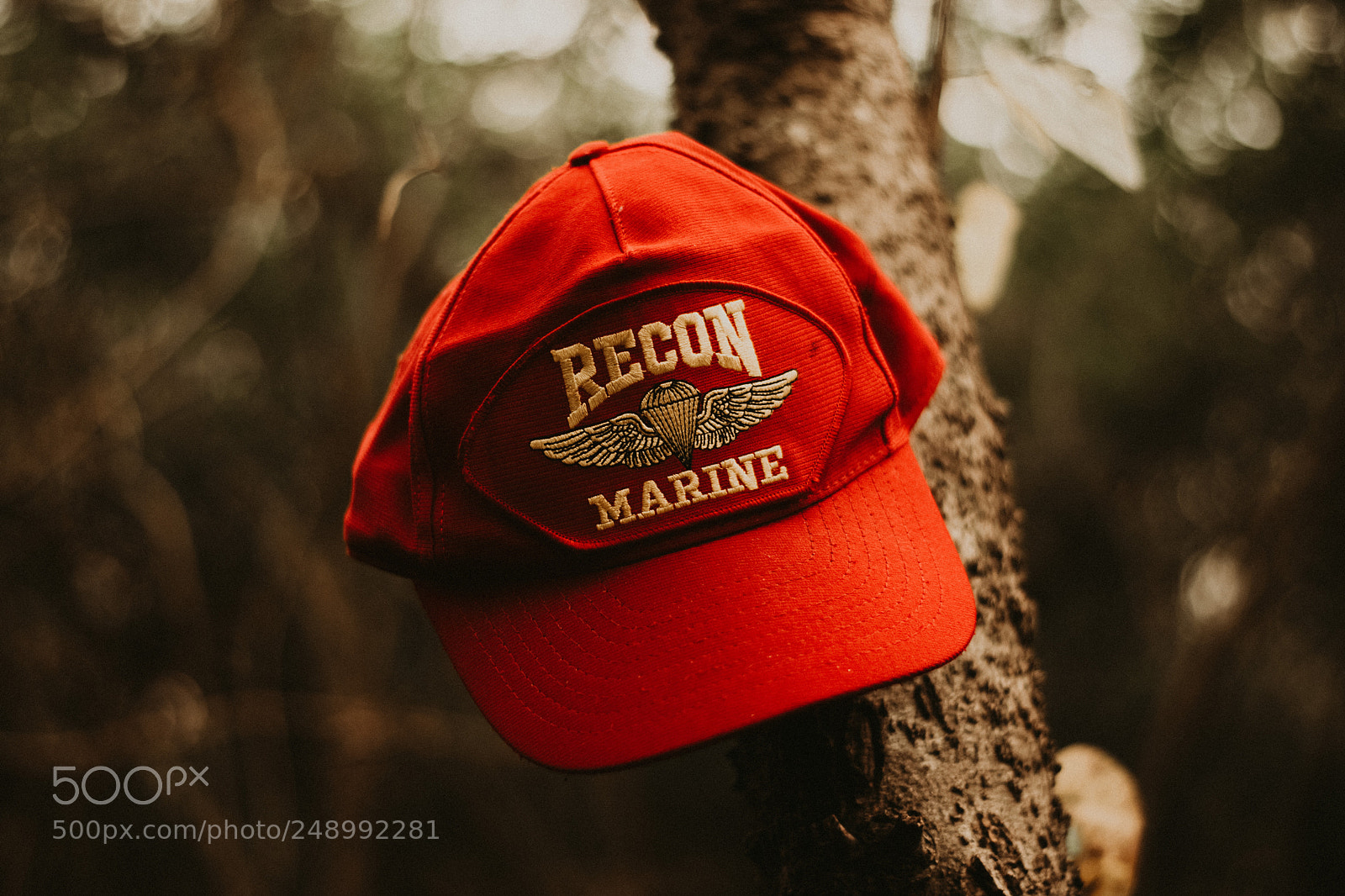Nikon D3300 sample photo. Marine photography