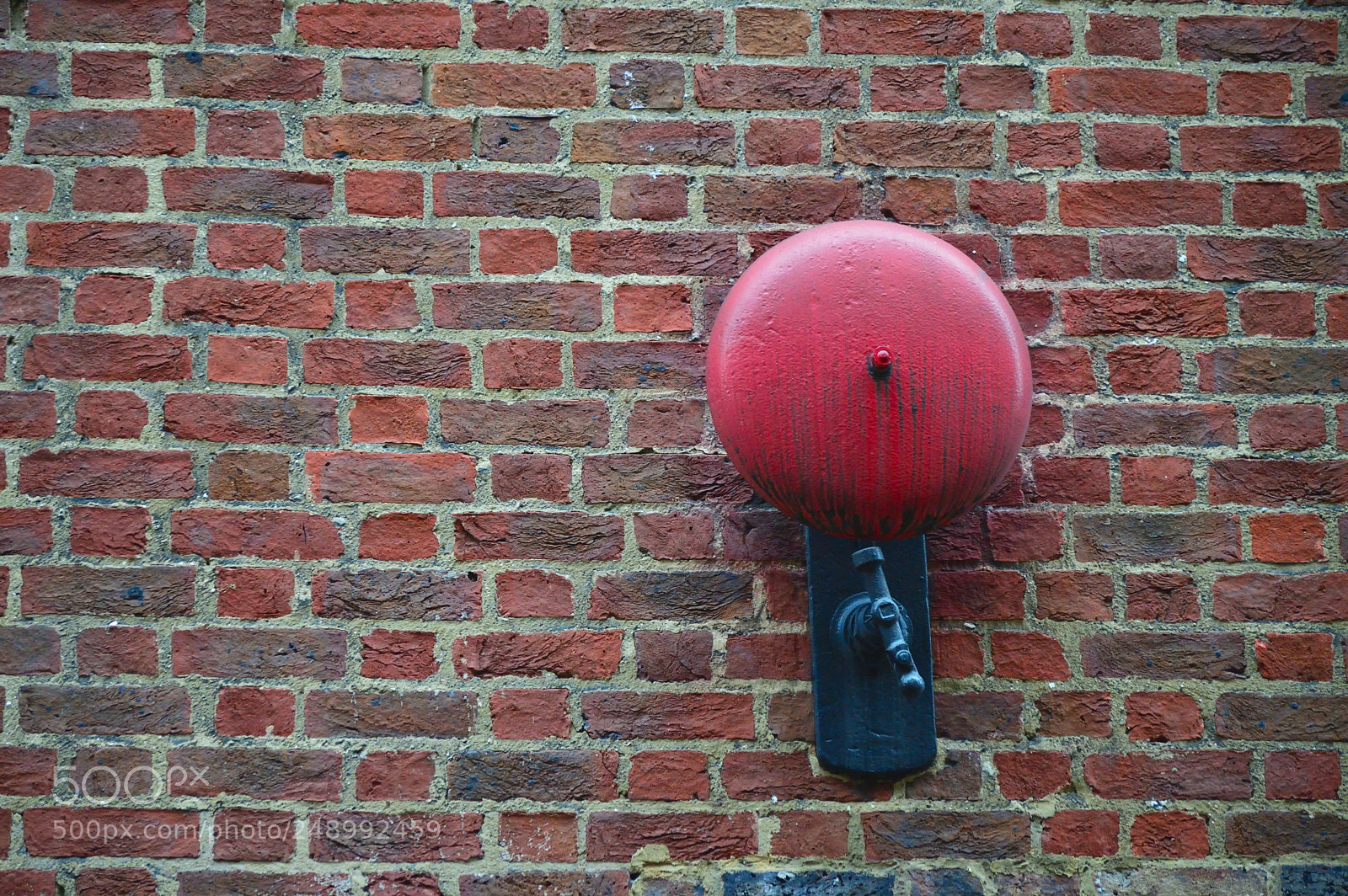 Nikon D3200 sample photo. Red bell photography