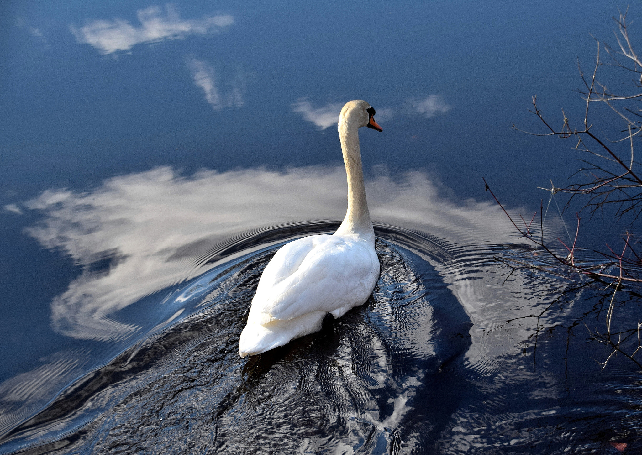 Nikon D5300 + Sigma 18-250mm F3.5-6.3 DC Macro OS HSM sample photo. Swimming in clouds photography