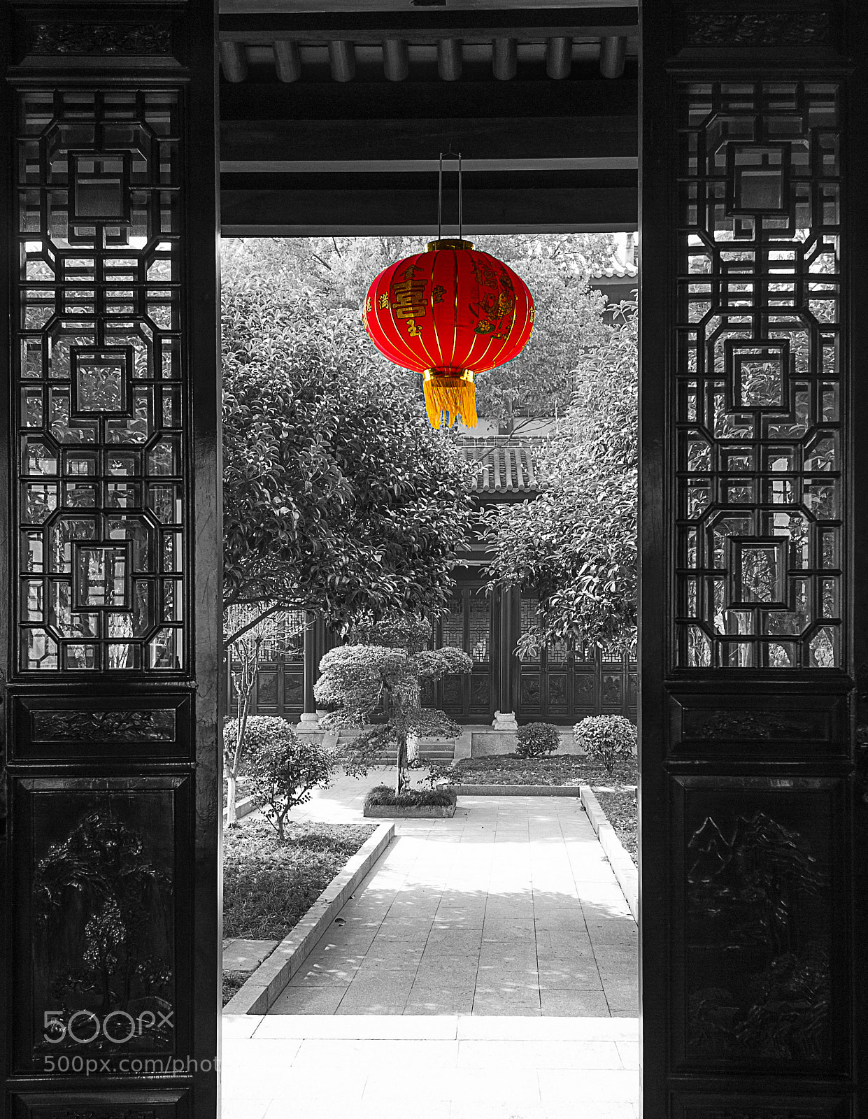 Nikon D3 sample photo. Untitled photography