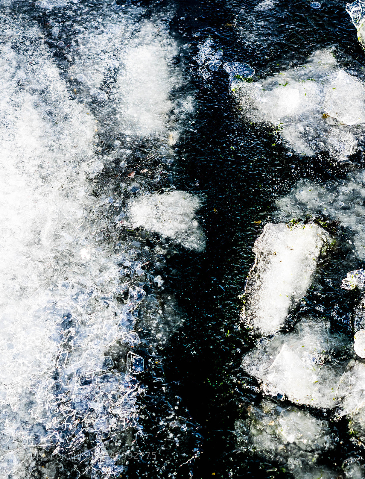 Olympus OM-D E-M1 sample photo. Ice detail 3 photography