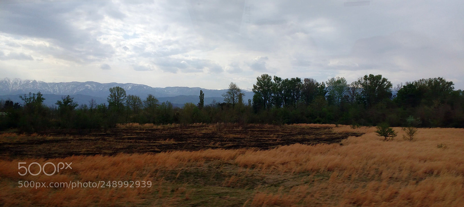 Motorola MotoG3 sample photo. Nature's beauty photography