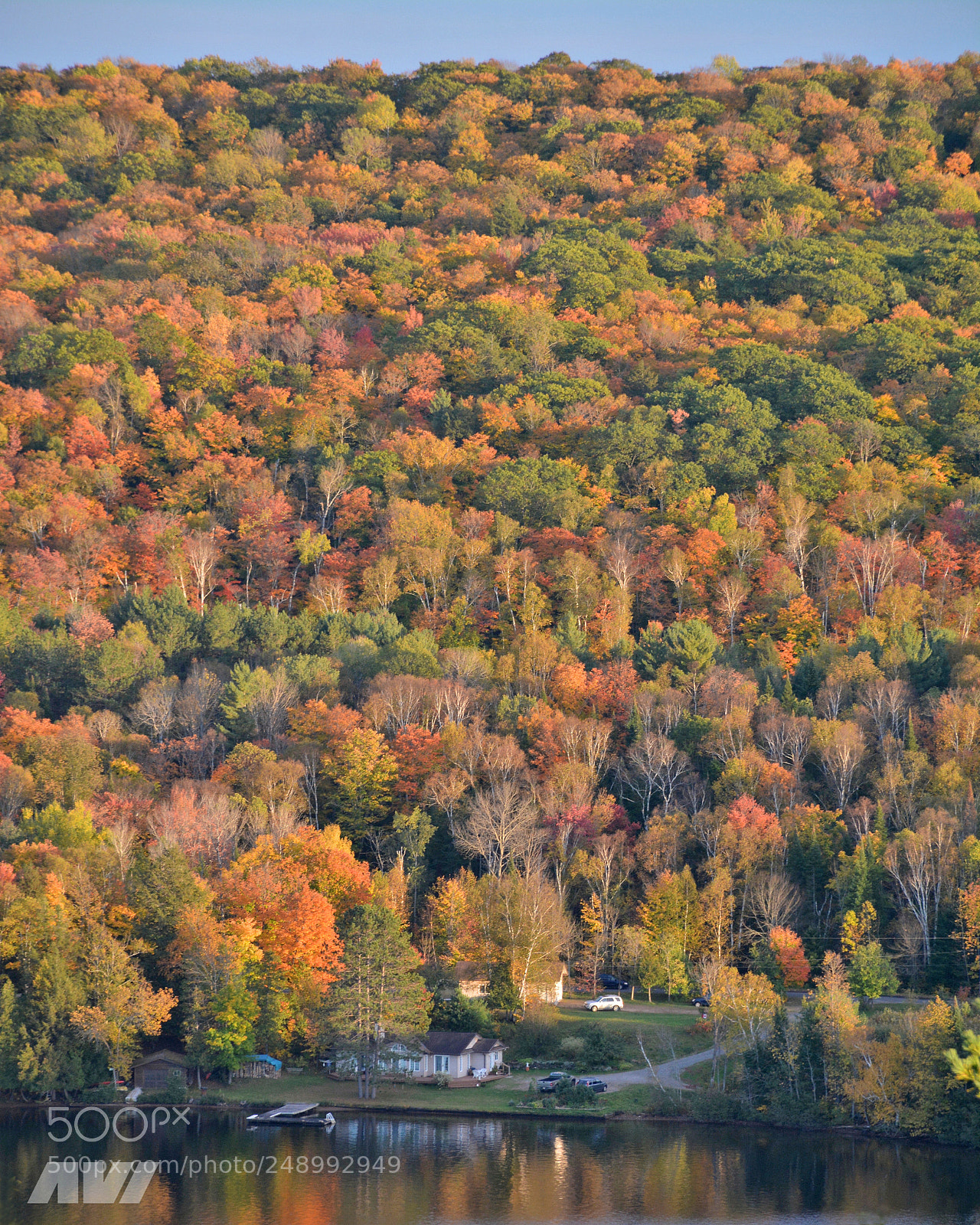 Nikon D7100 sample photo. Fall in love photography