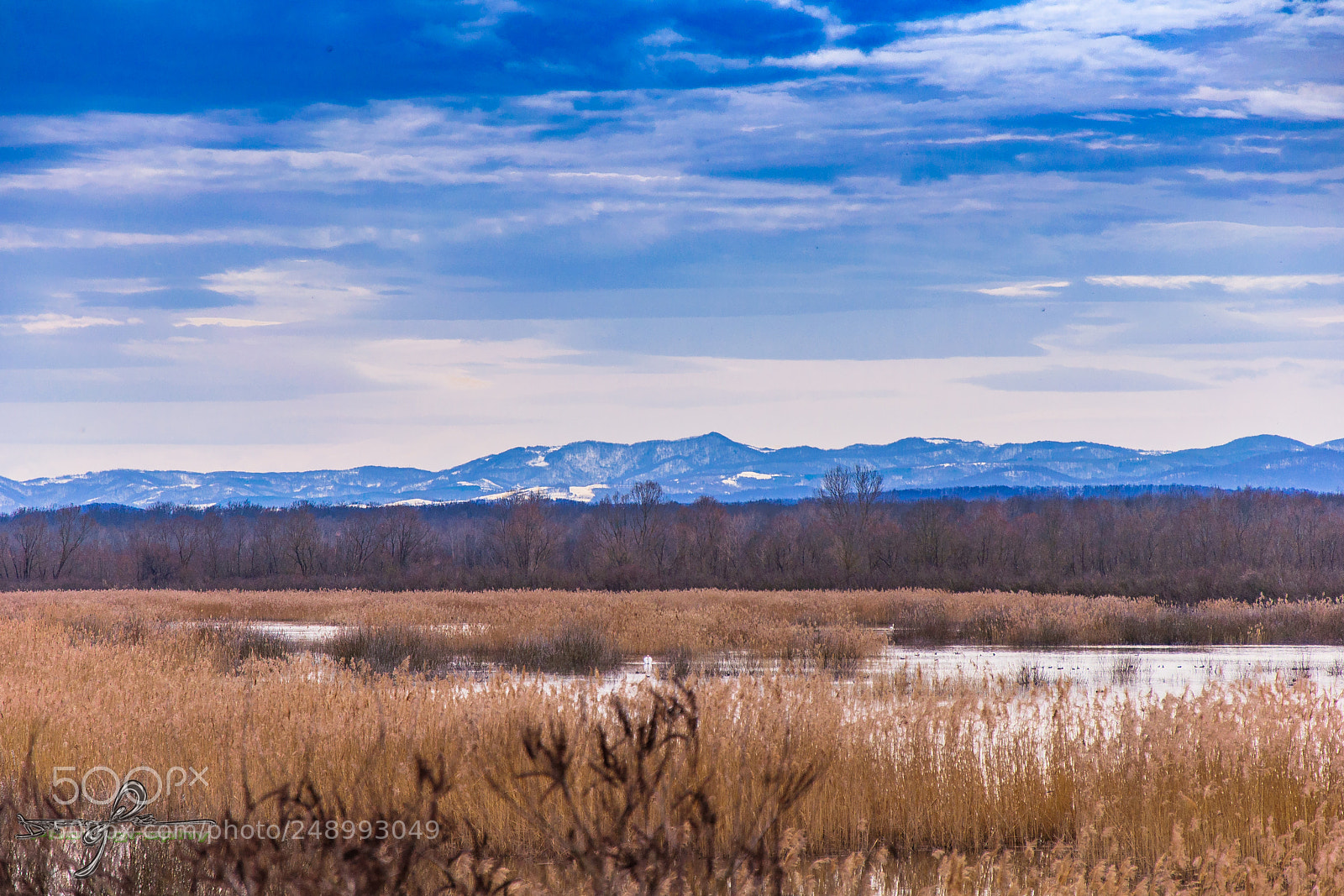 Nikon D90 sample photo. Landscape photography