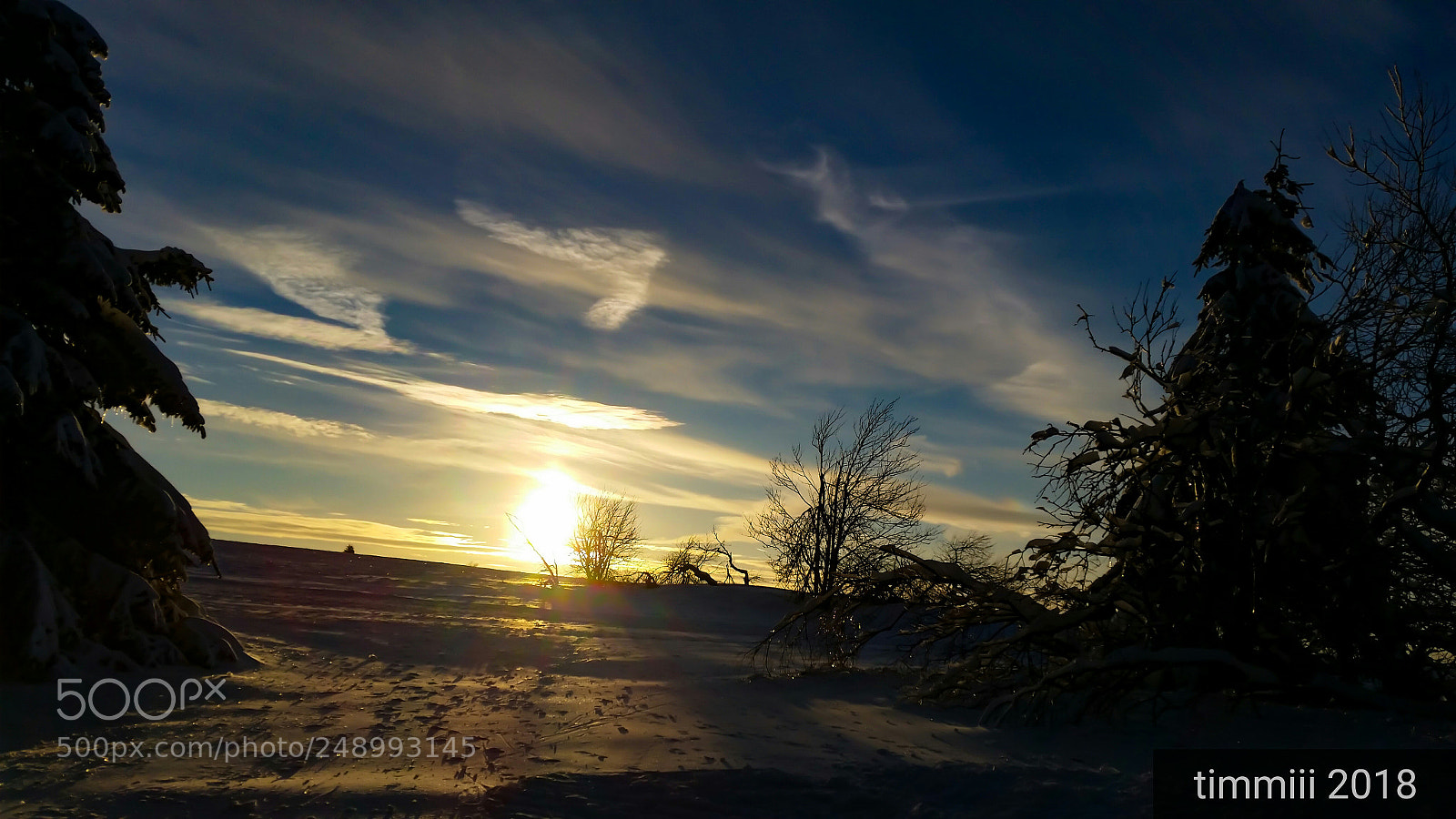 Samsung Galaxy S5 sample photo. Sun and snow photography