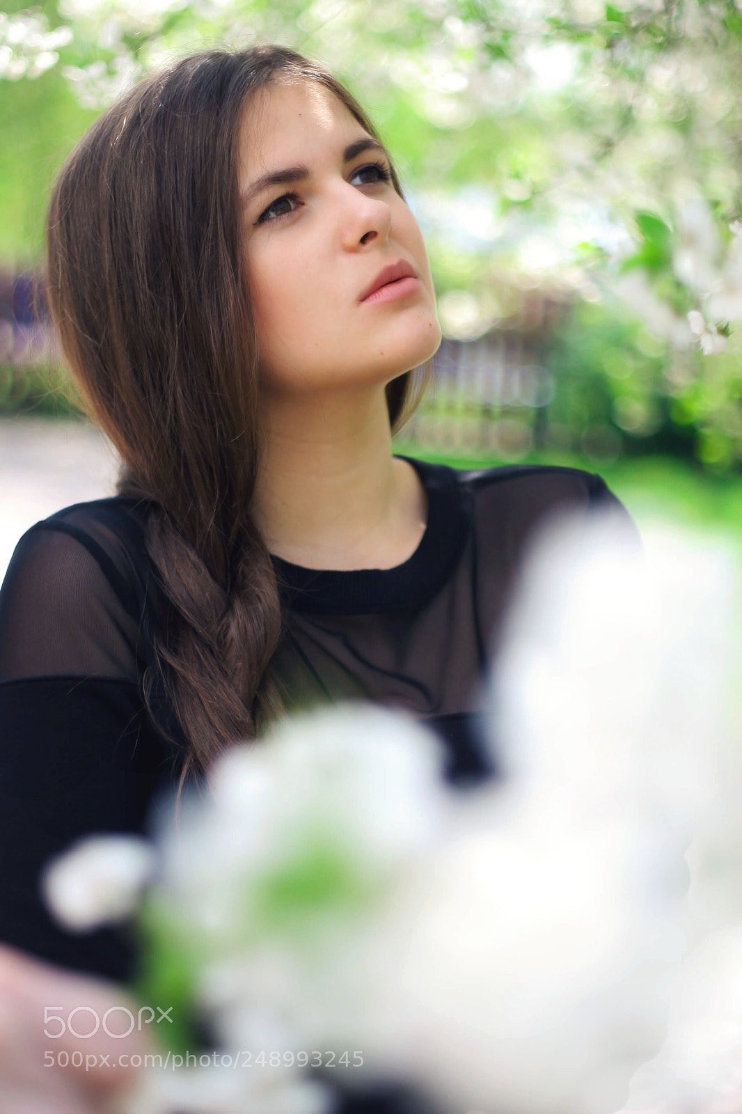 Canon EOS 20D sample photo. 4.jpg photography
