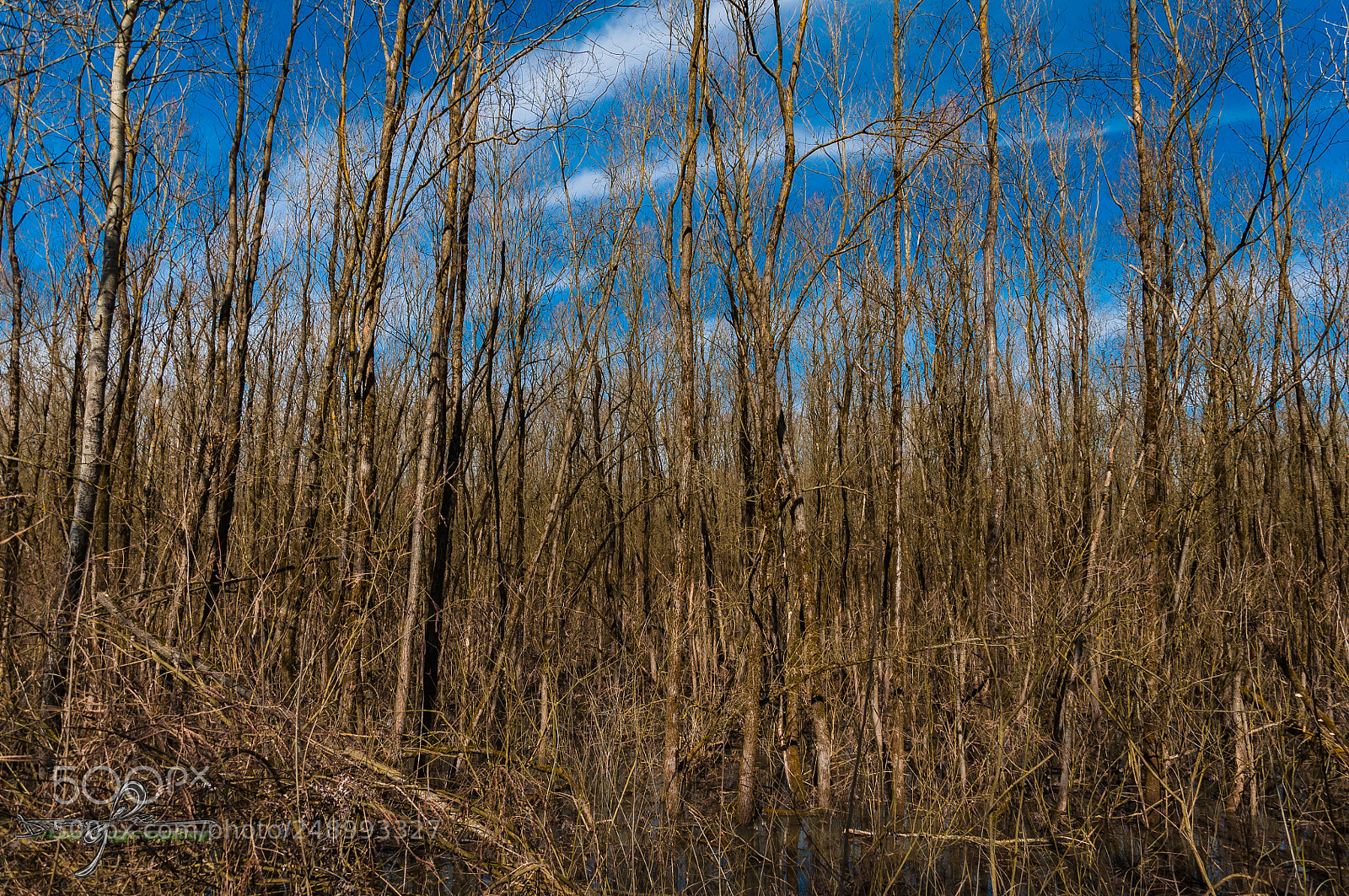 Nikon D90 sample photo. Nature photography