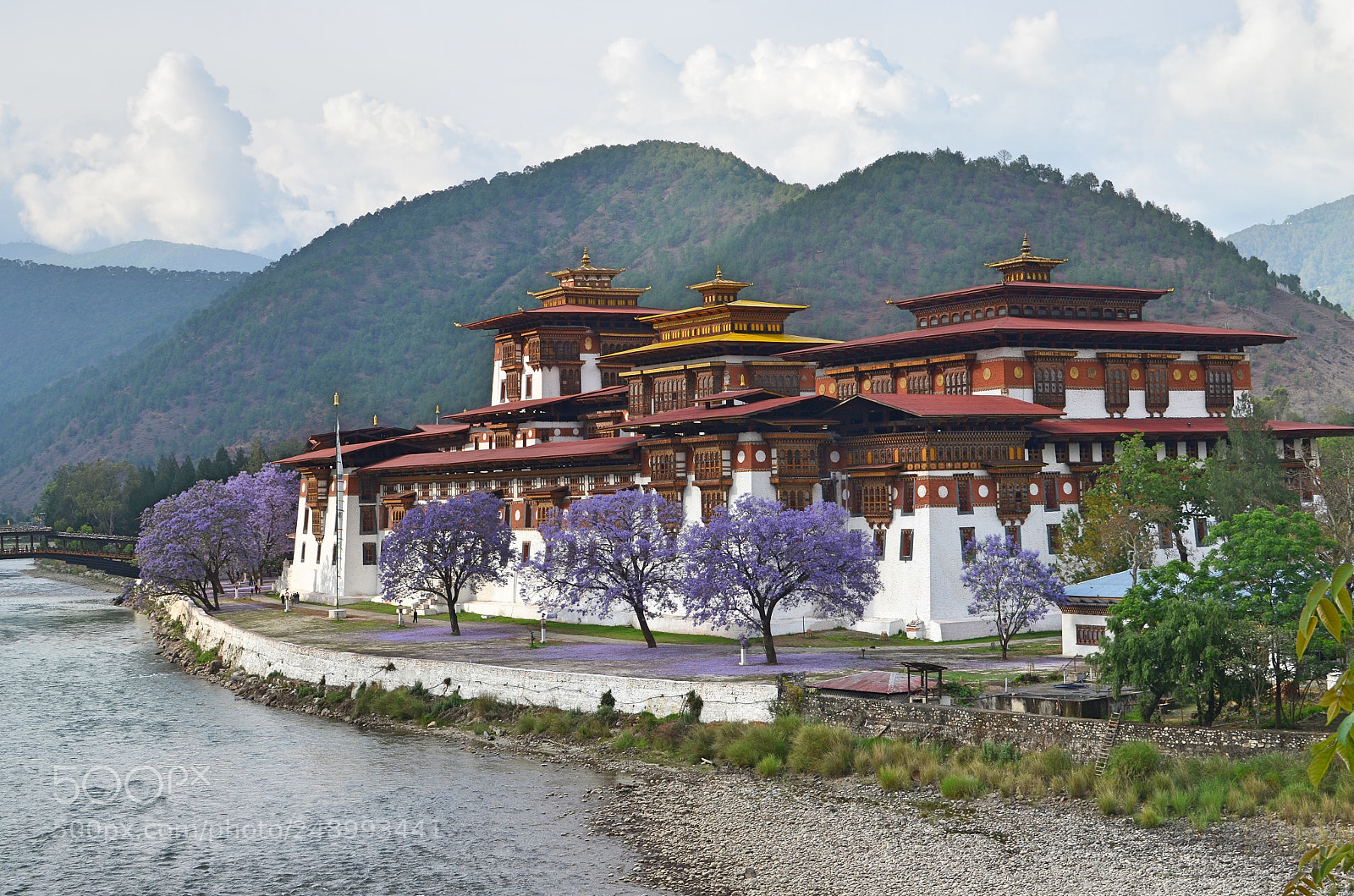 Nikon D5100 sample photo. Punakha dzong, bhutan photography