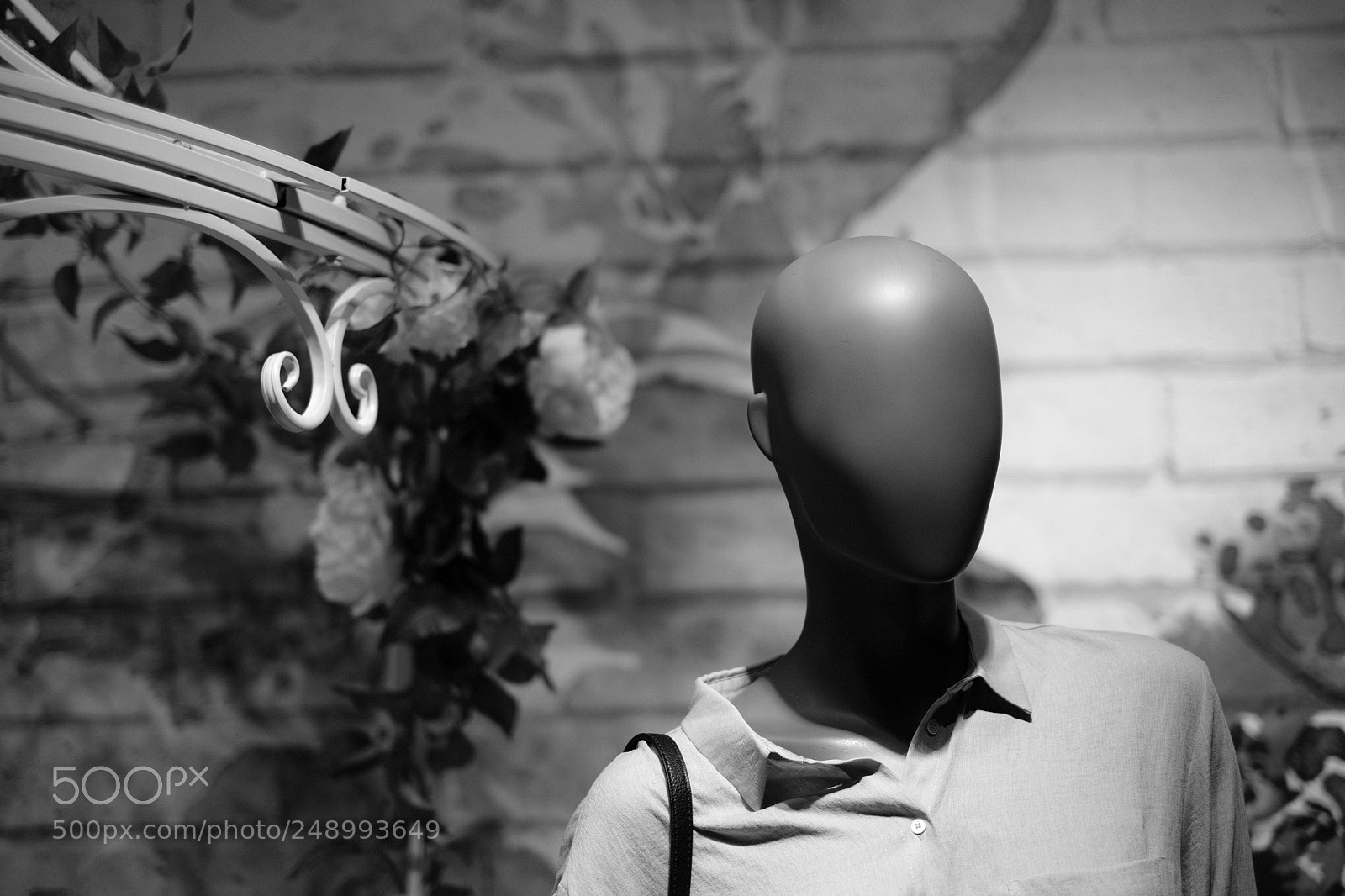 Fujifilm X-T20 sample photo. And who are you? photography