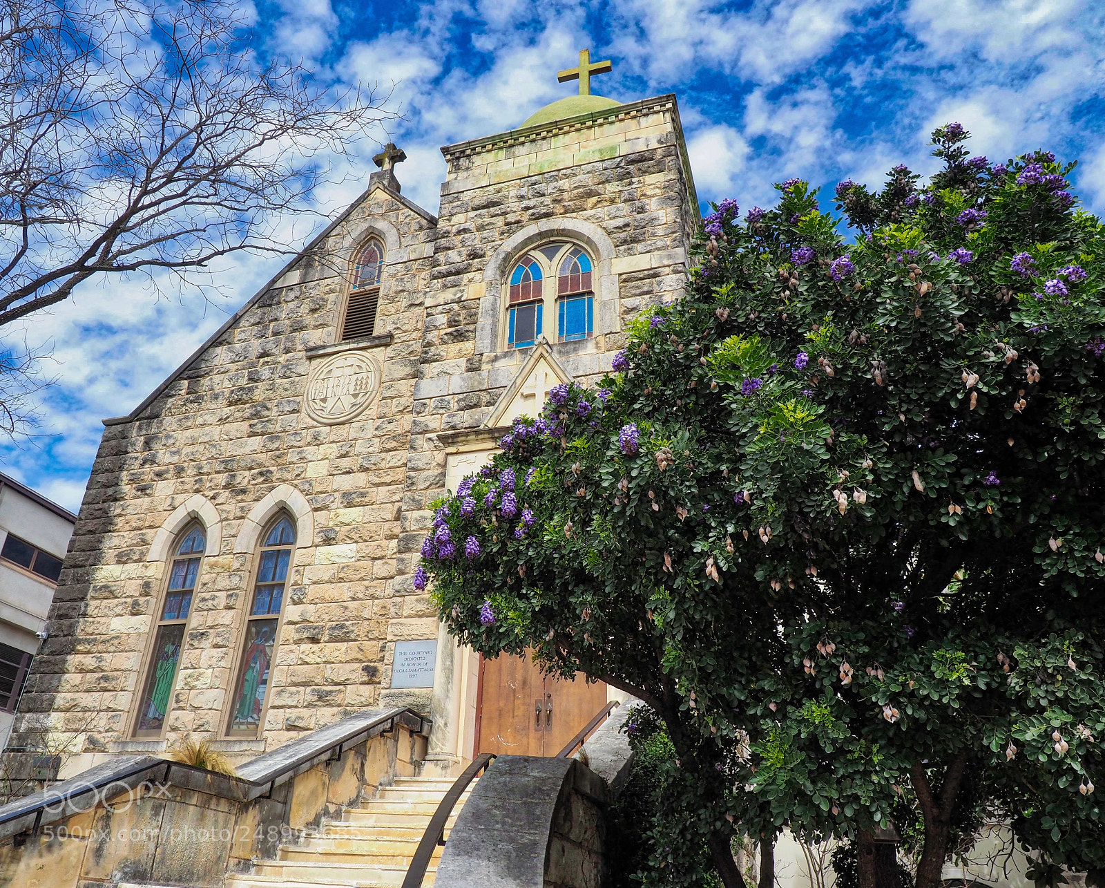 Olympus OM-D E-M1 Mark II sample photo. Austin photography