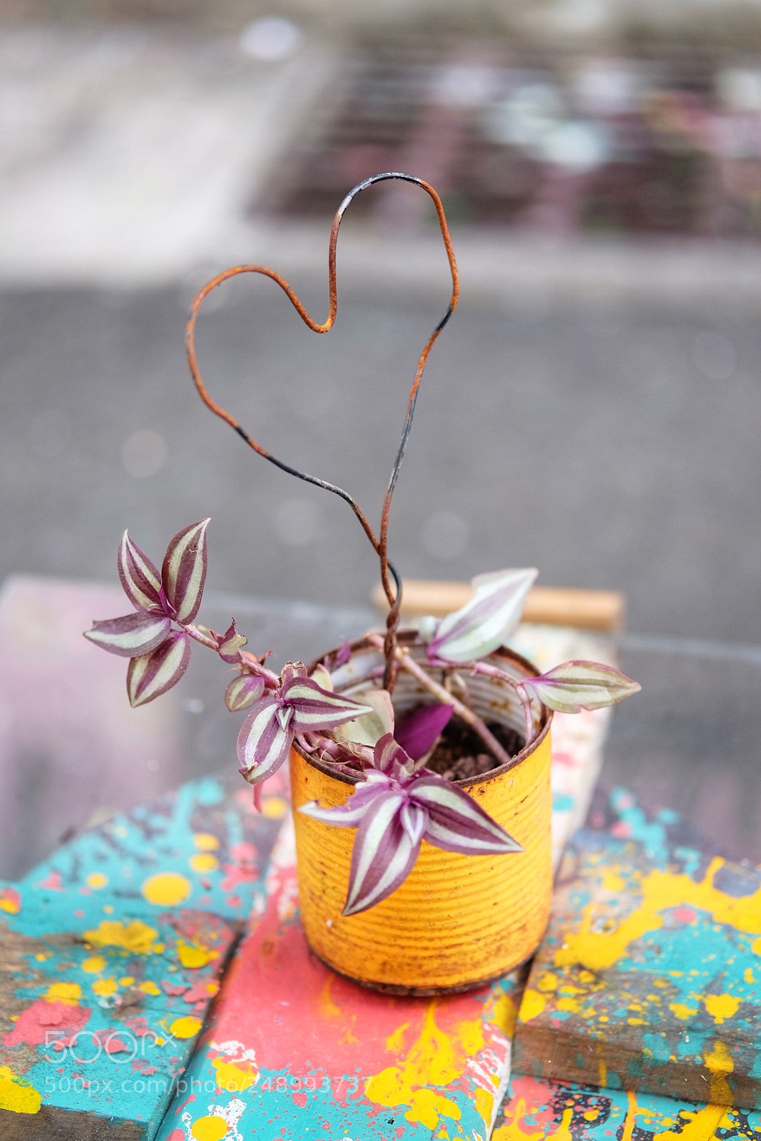 Fujifilm X-T10 sample photo. Amour photography