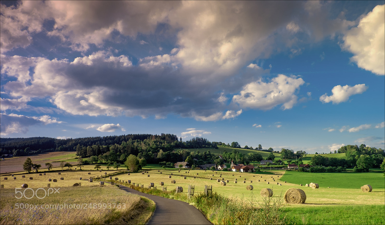 Fujifilm X-T1 sample photo. Late summer photography