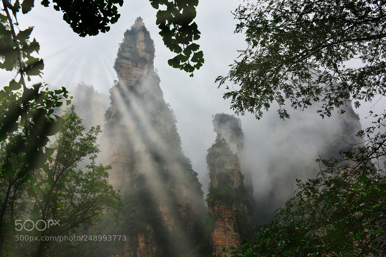 Nikon D810 sample photo. Zhangjiajie specialeffect photography