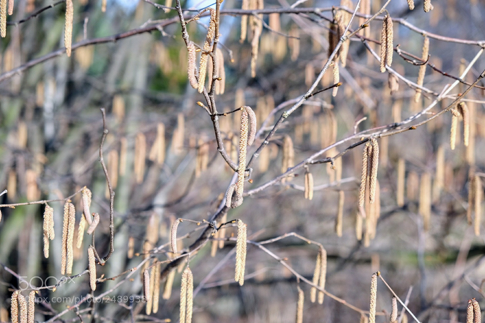 Fujifilm X-T1 sample photo. Untitled photography