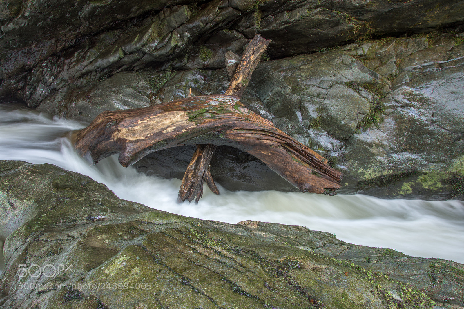 Nikon D7200 sample photo. Driftwood photography