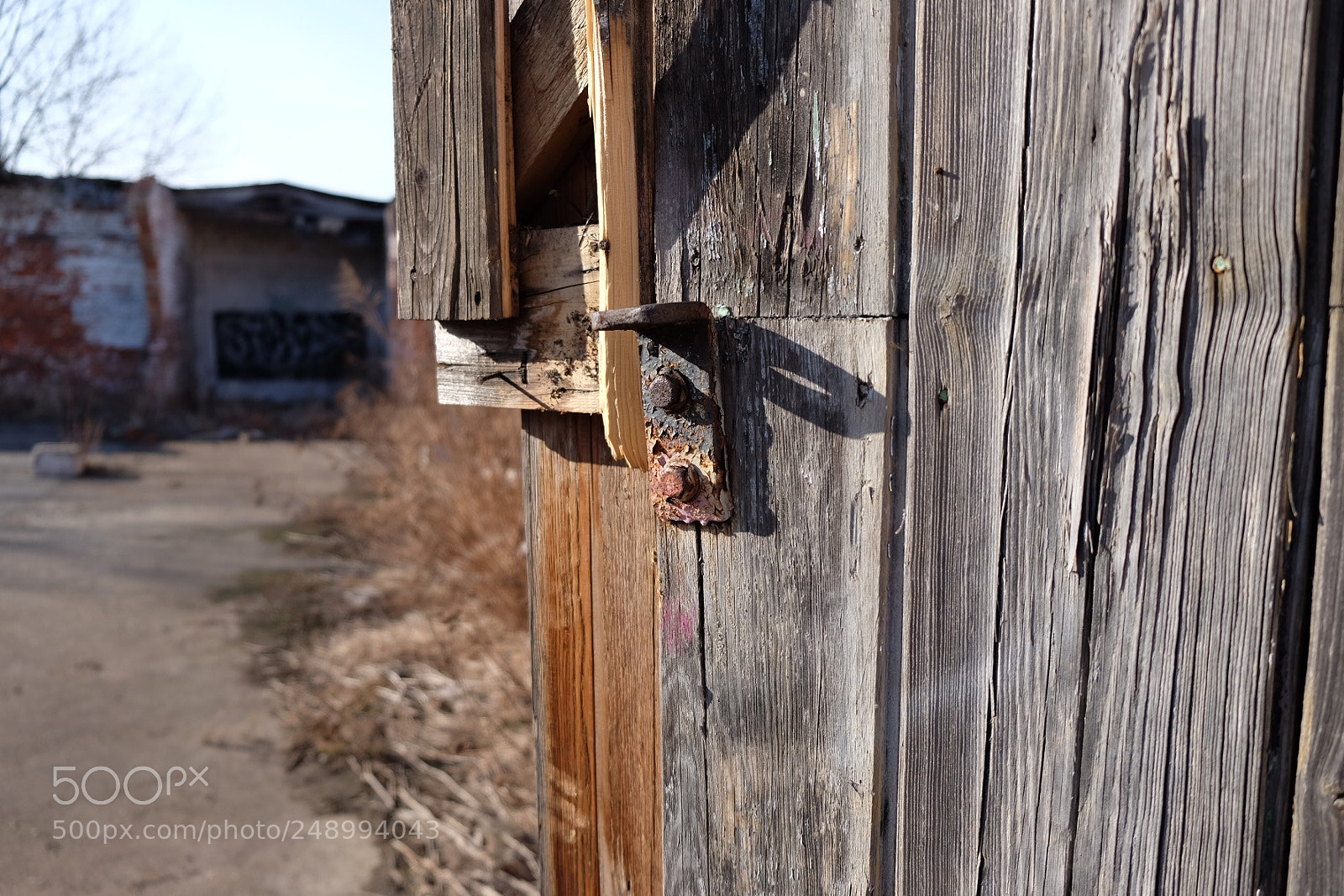 Fujifilm X-T1 sample photo. Untitled photography