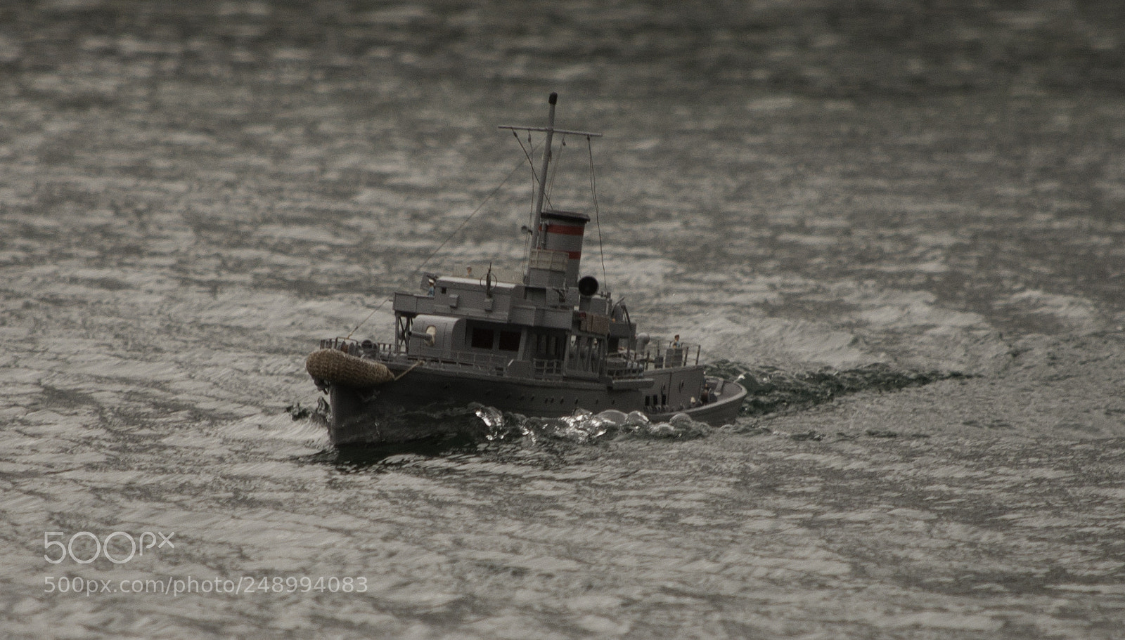 Nikon D90 sample photo. Flower class corvette photography