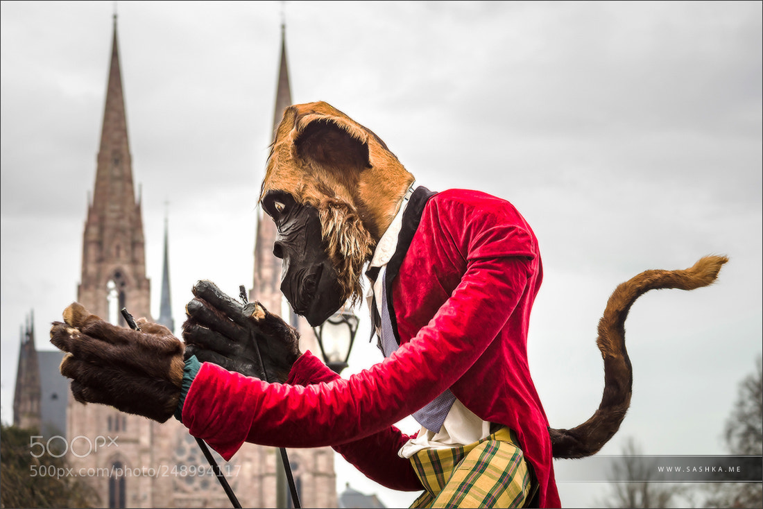 Sony a99 II sample photo. Carnaval strasbourg 2018 photography