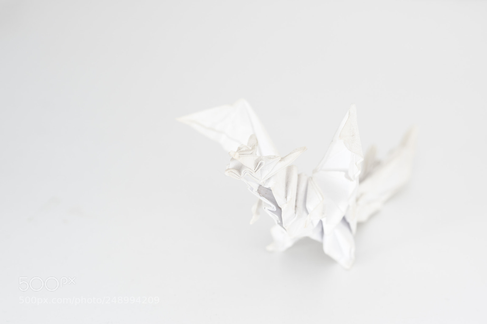 Nikon D3300 sample photo. White out! photography
