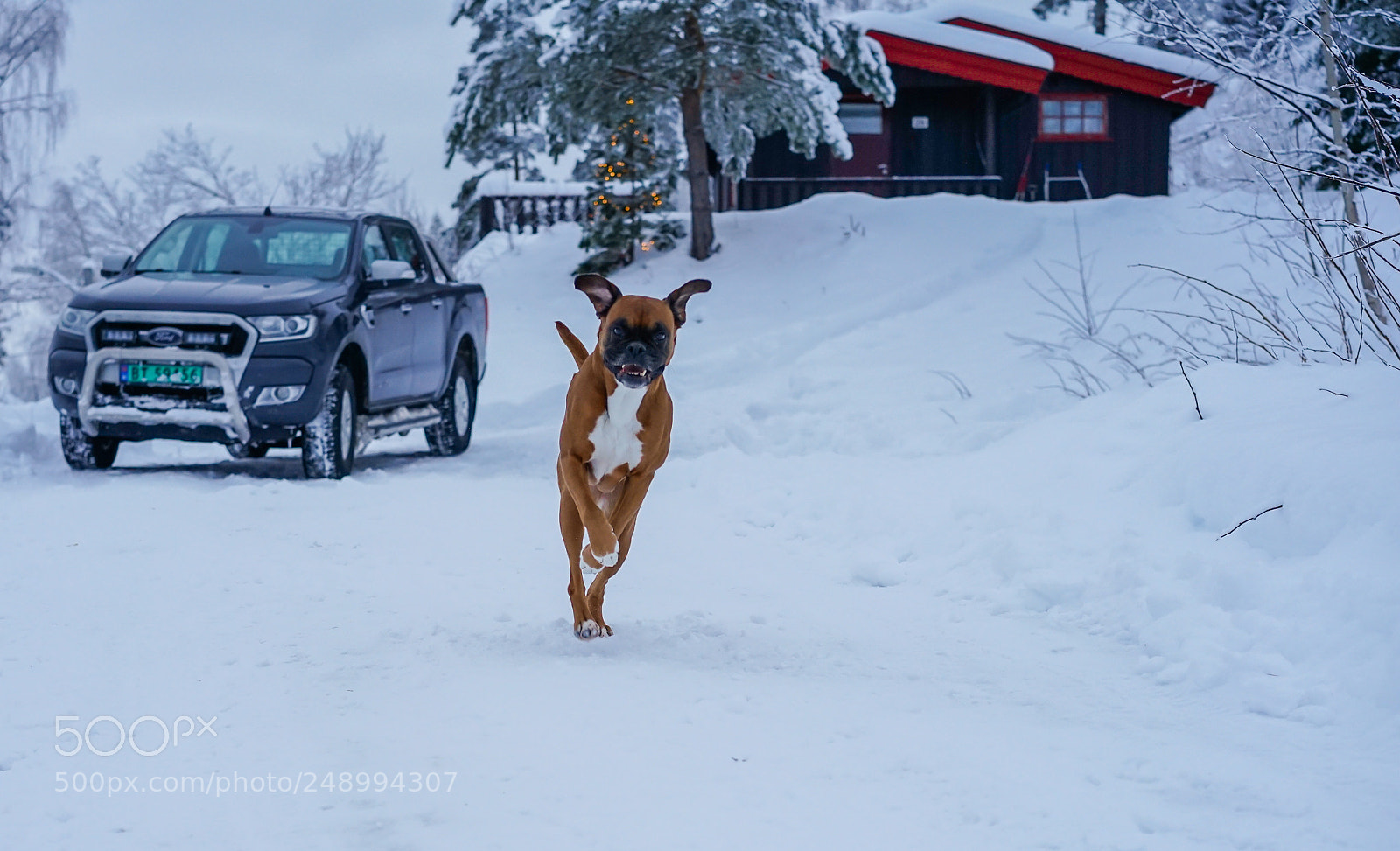 Sony a7 II sample photo. Untitled photography