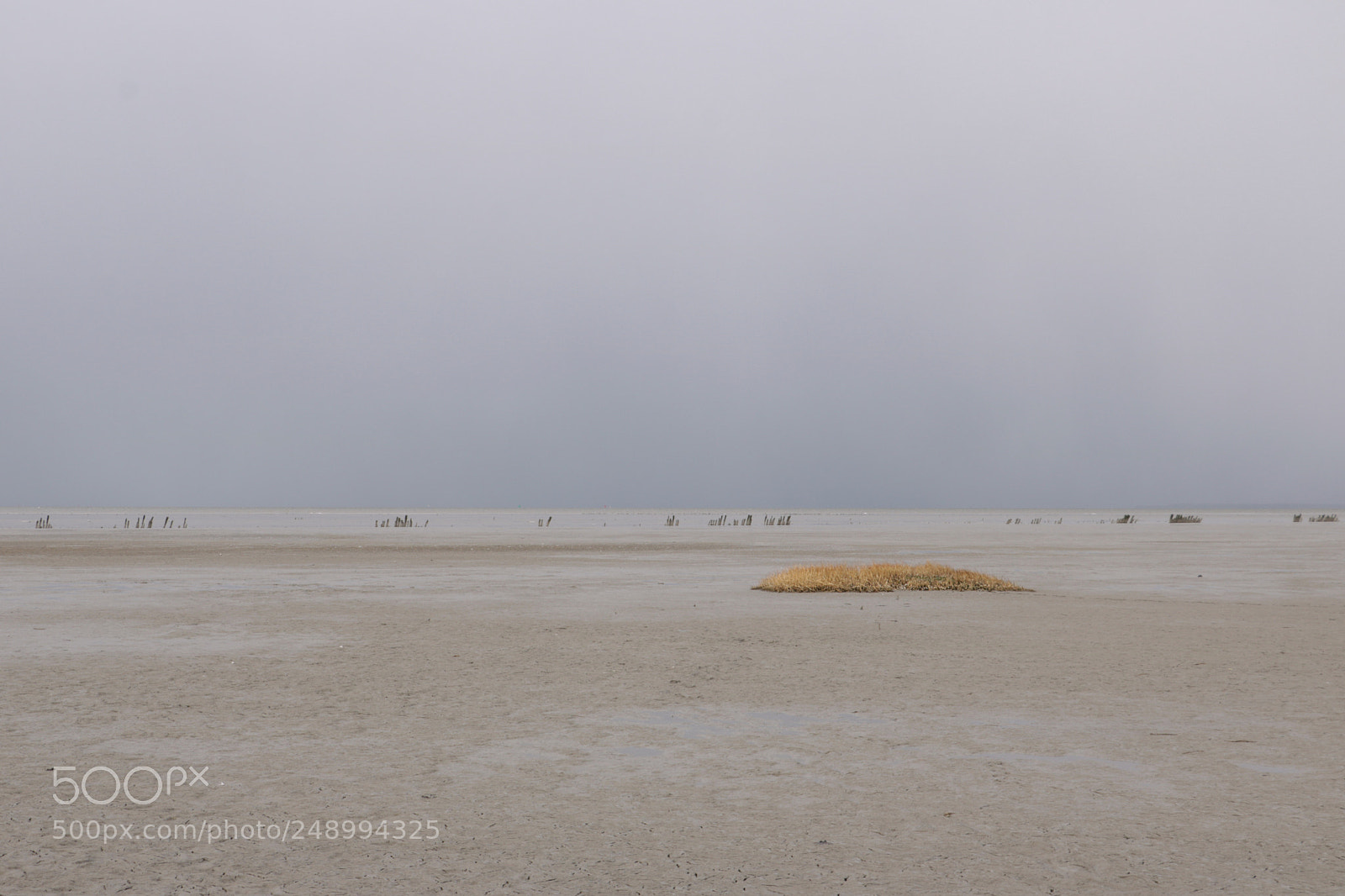 Canon EOS 760D (EOS Rebel T6s / EOS 8000D) sample photo. Moddergat (friesland) photography