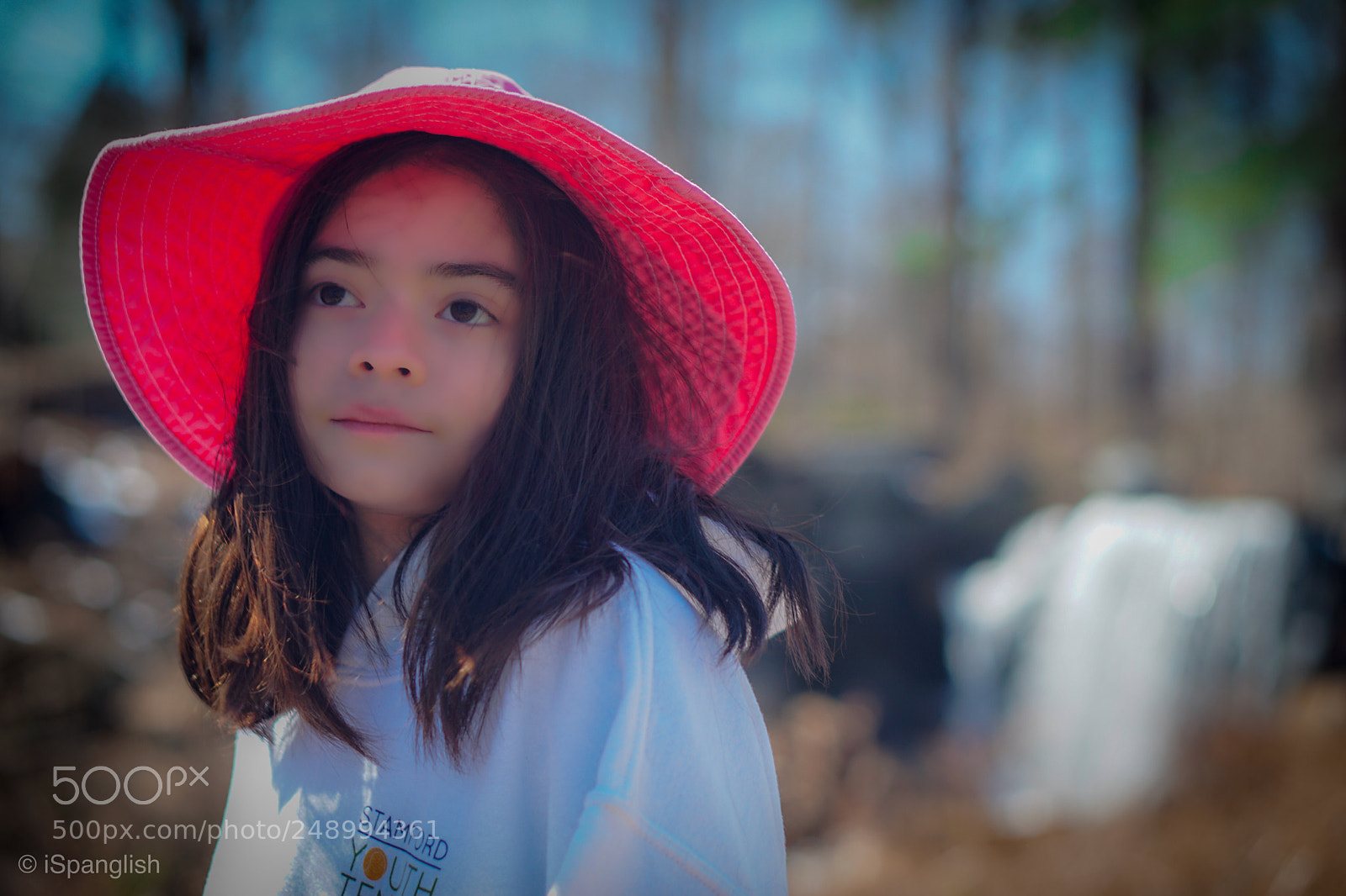 Sony a6000 sample photo. Img photography