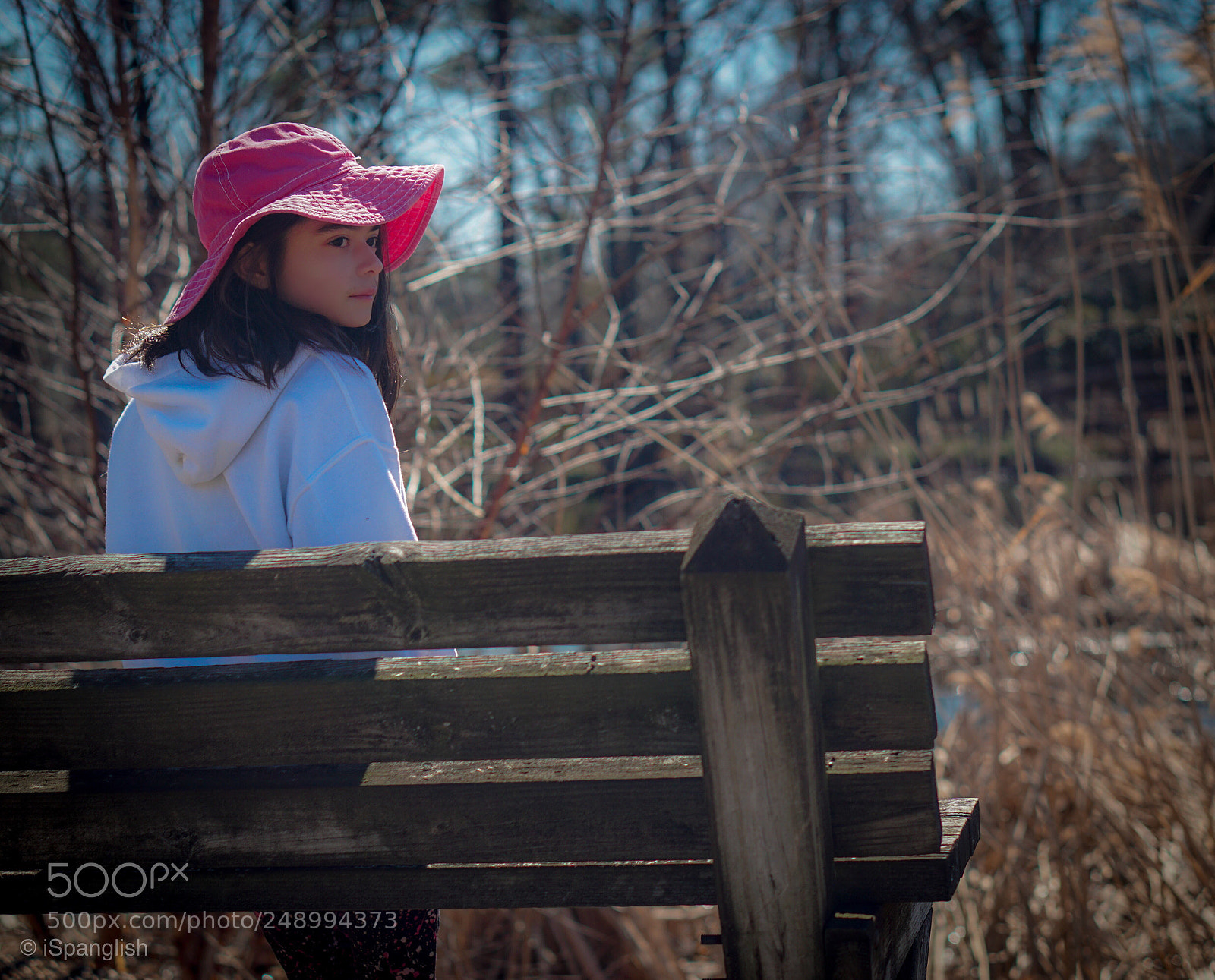Sony a6000 sample photo. Img photography